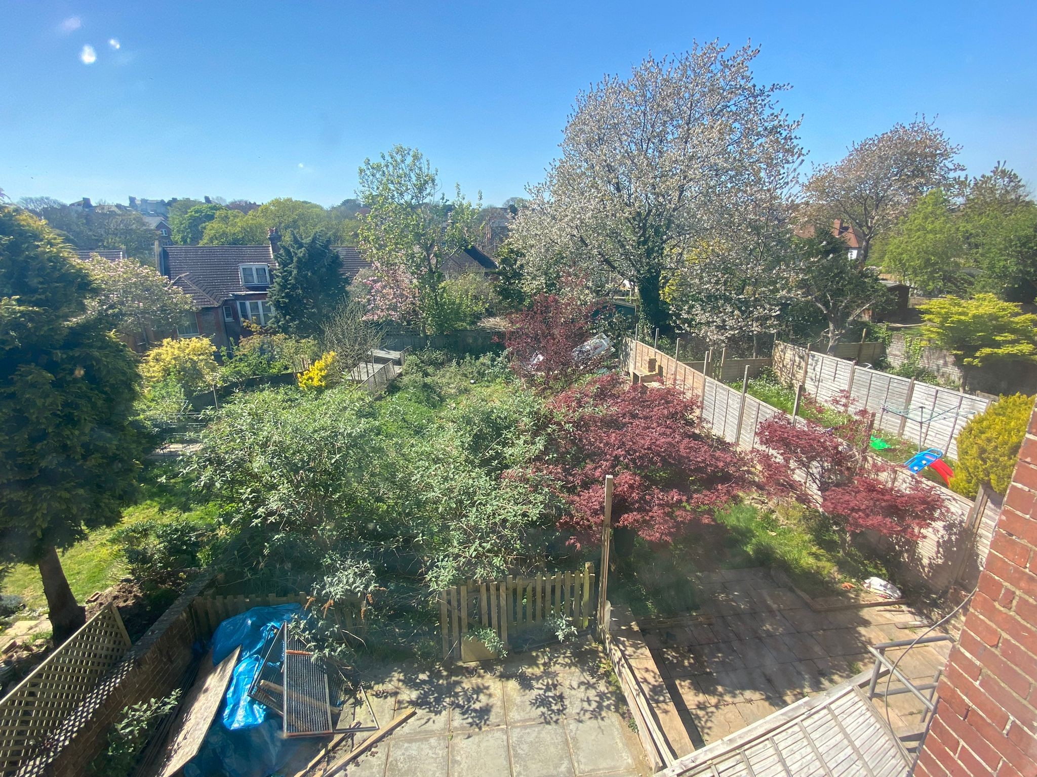 VACANT - Freehold Semi-Detached Building