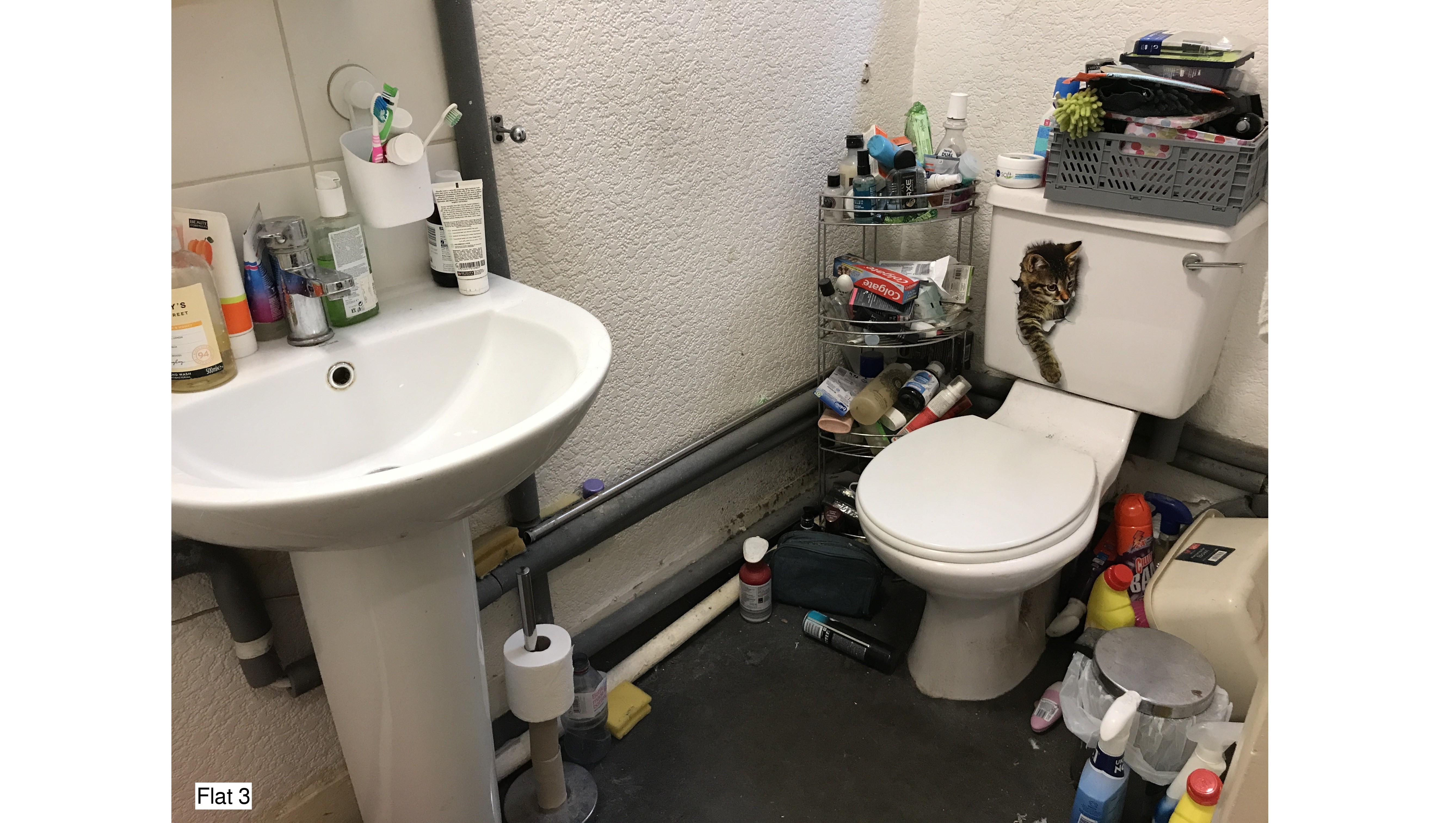 INVESTMENT - Freehold End of Terrace Building