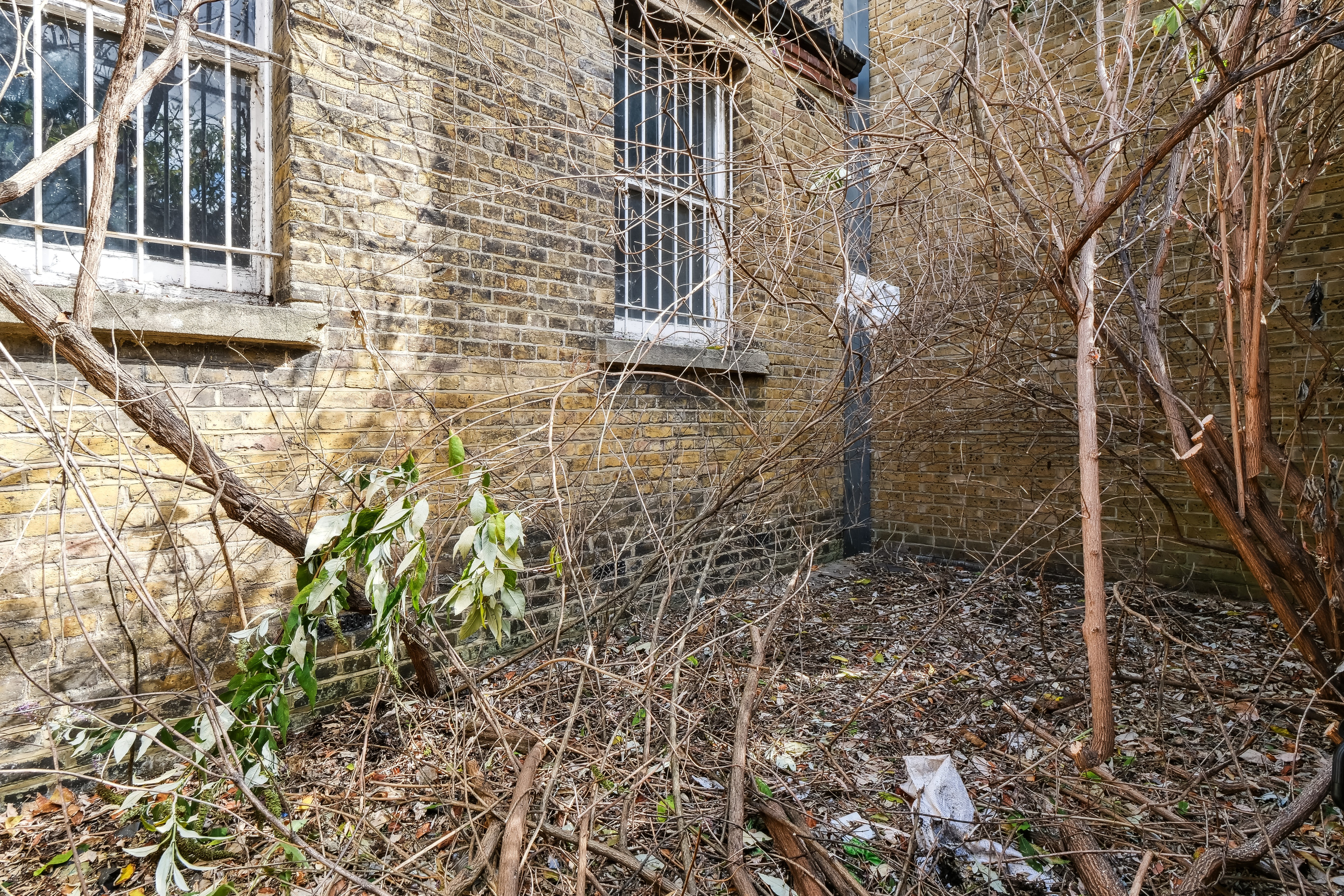 VACANT - Freehold  Development Potential