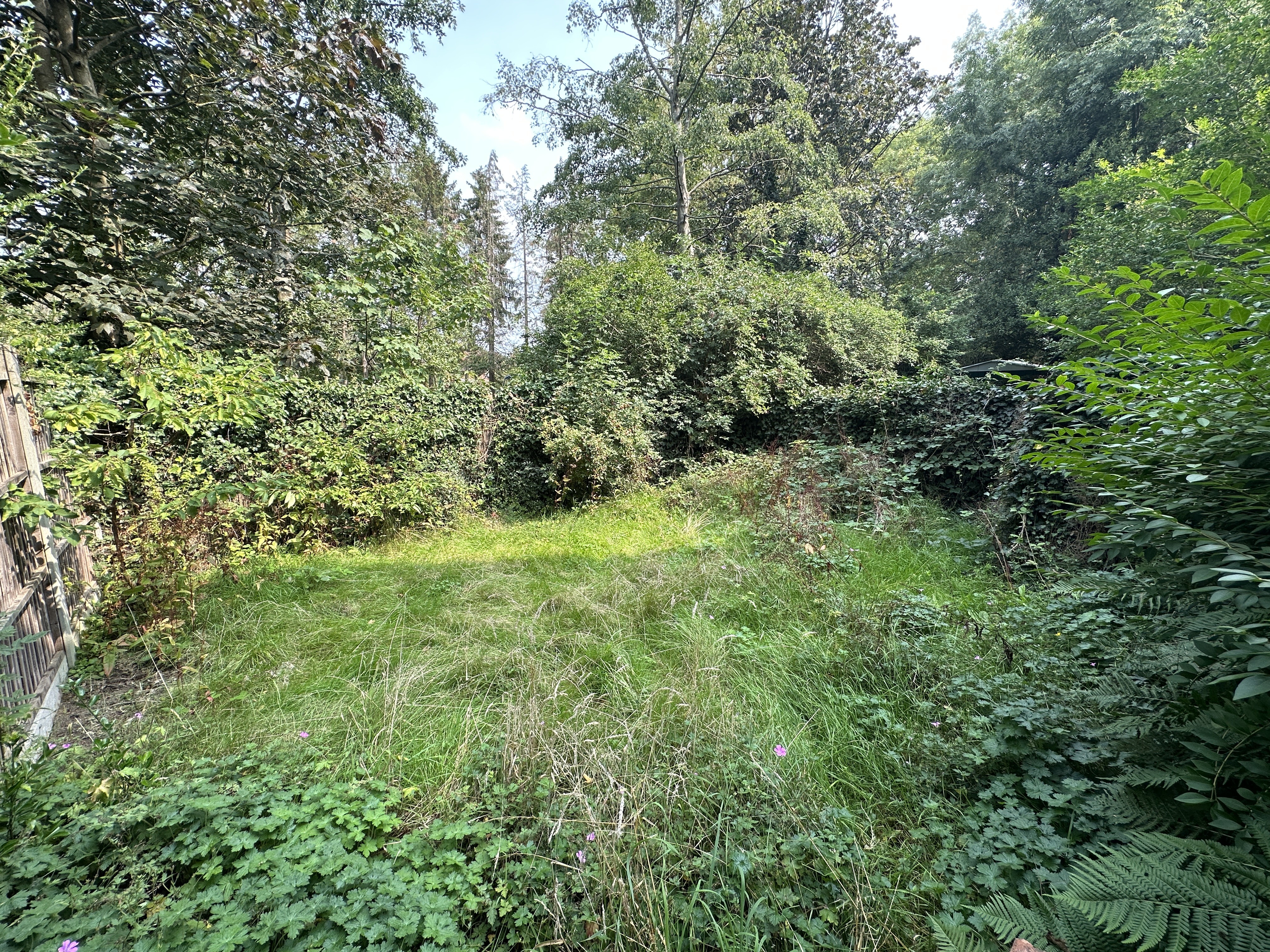 PART VACANT - Freehold Semi Detached Building