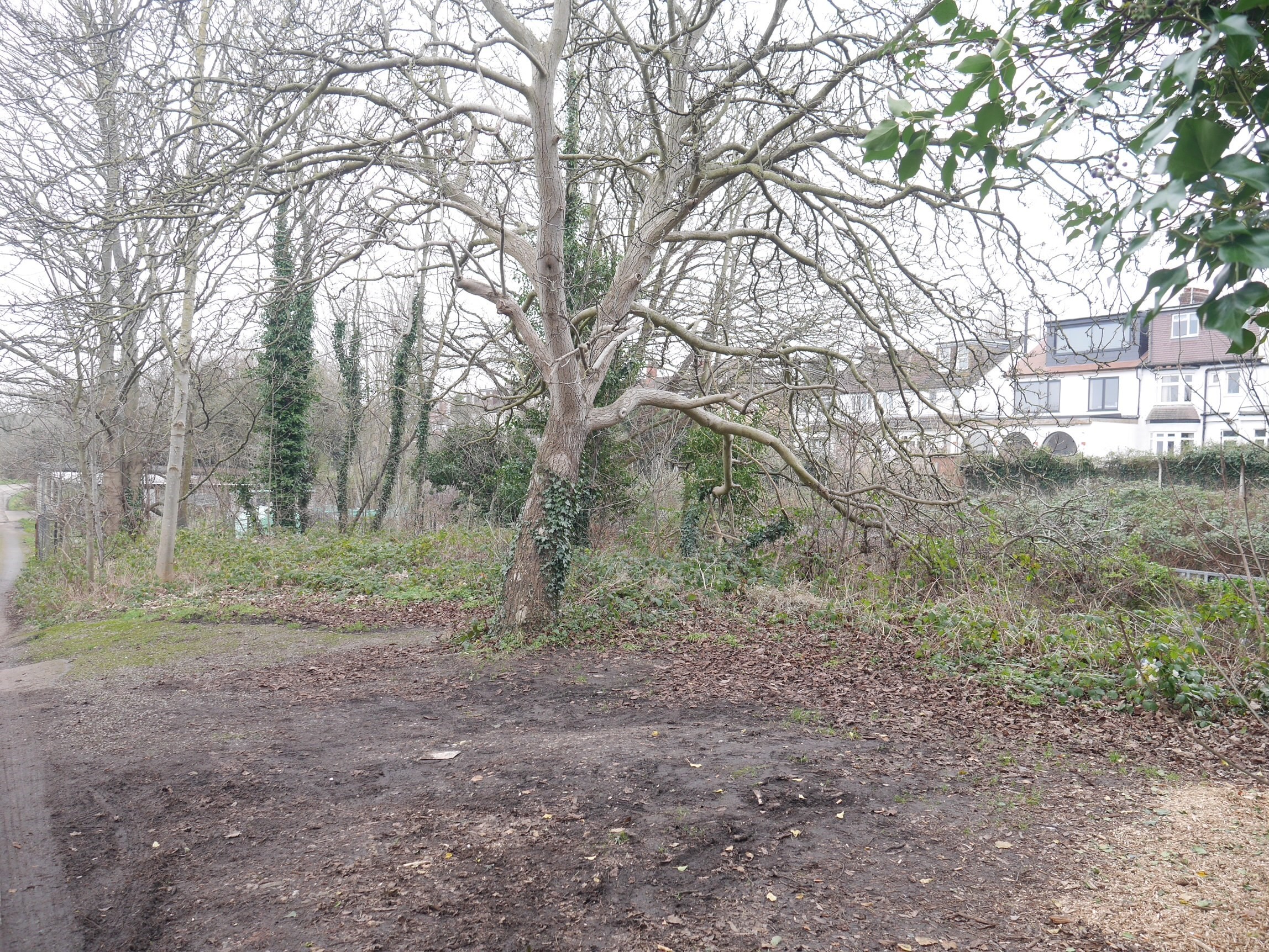 INVESTMENT - Freehold Land