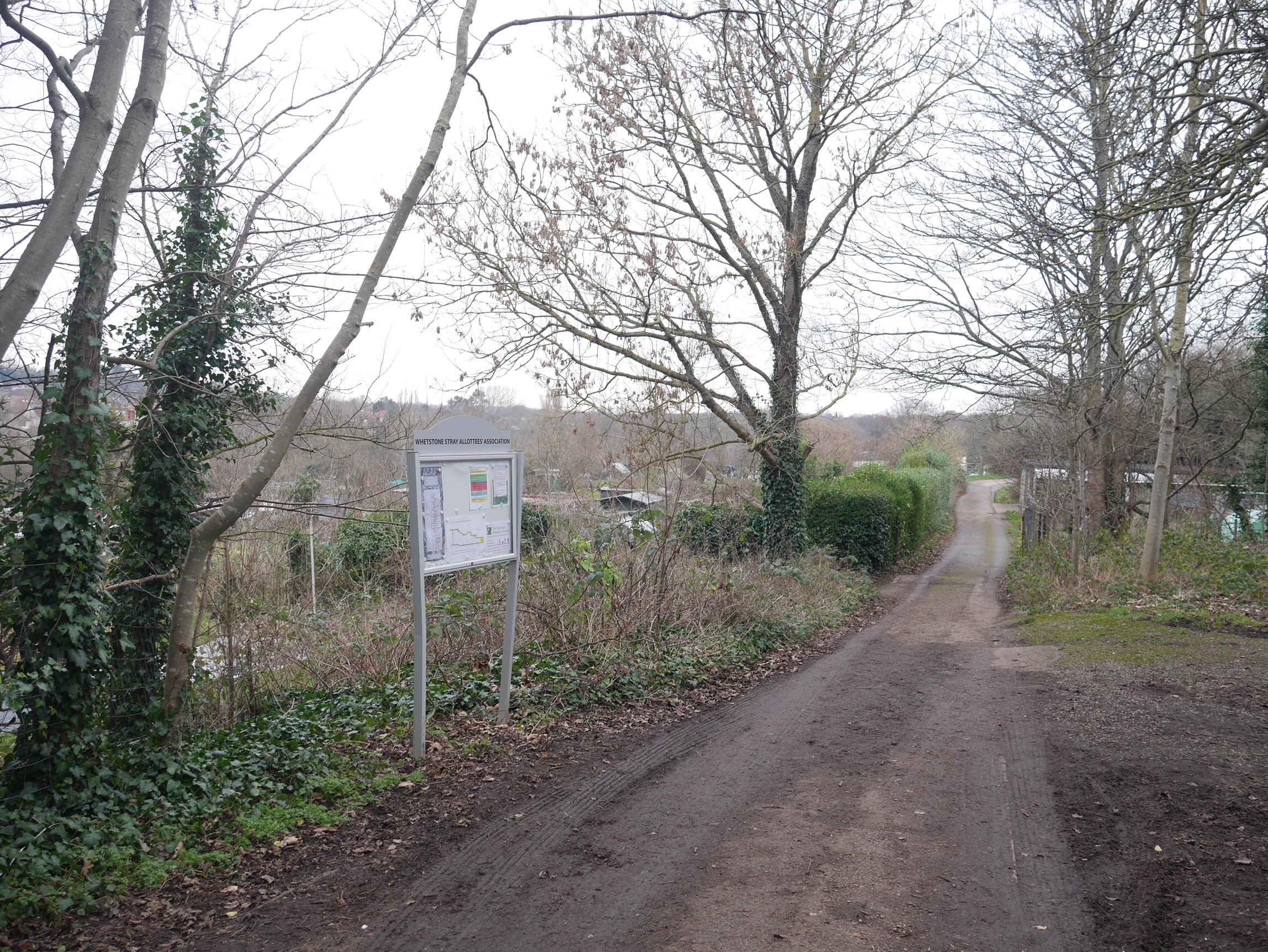 INVESTMENT - Freehold Land