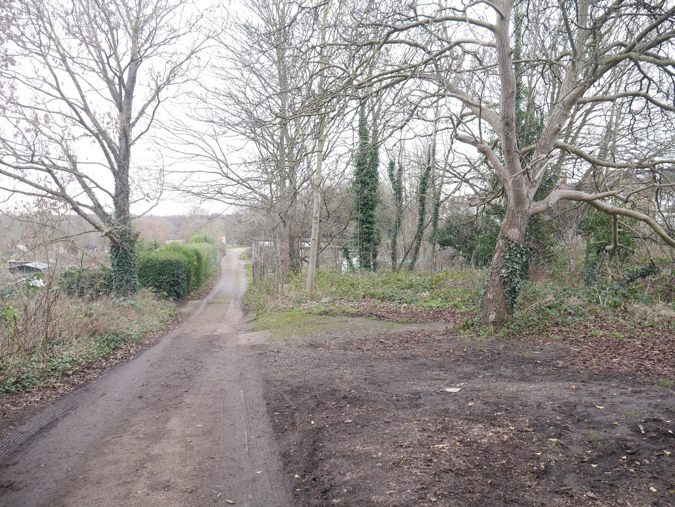 INVESTMENT - Freehold Land