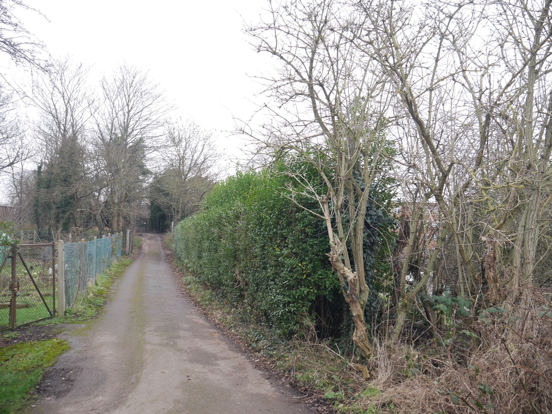 INVESTMENT - Freehold Land