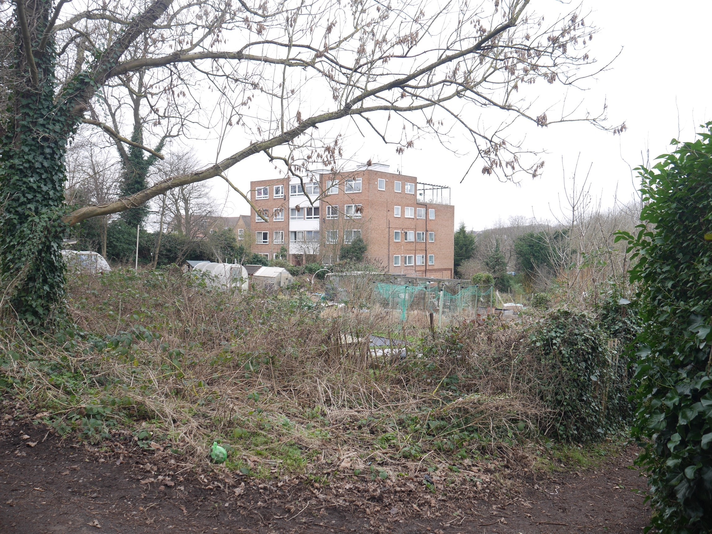 INVESTMENT - Freehold Land