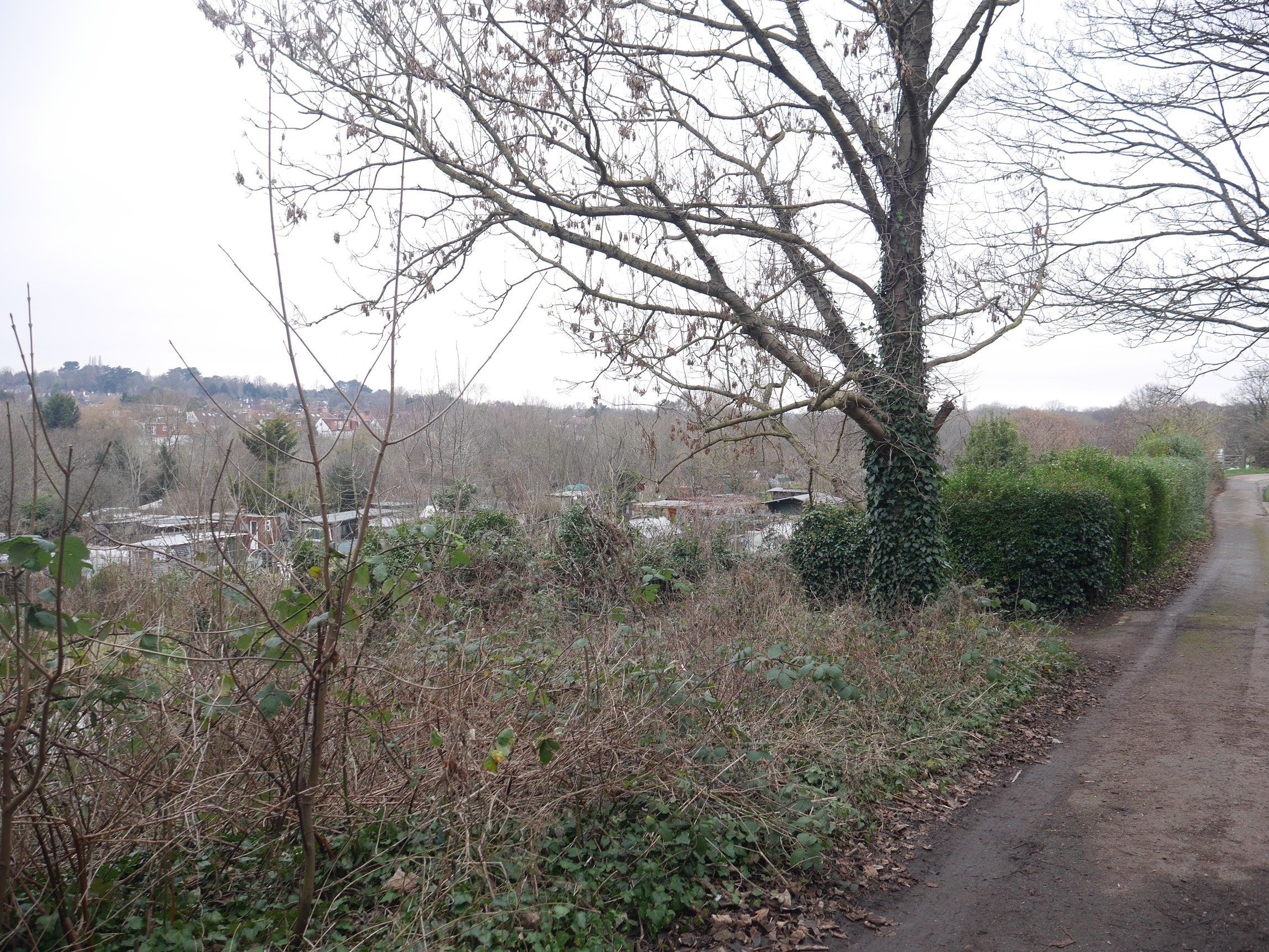INVESTMENT - Freehold Land