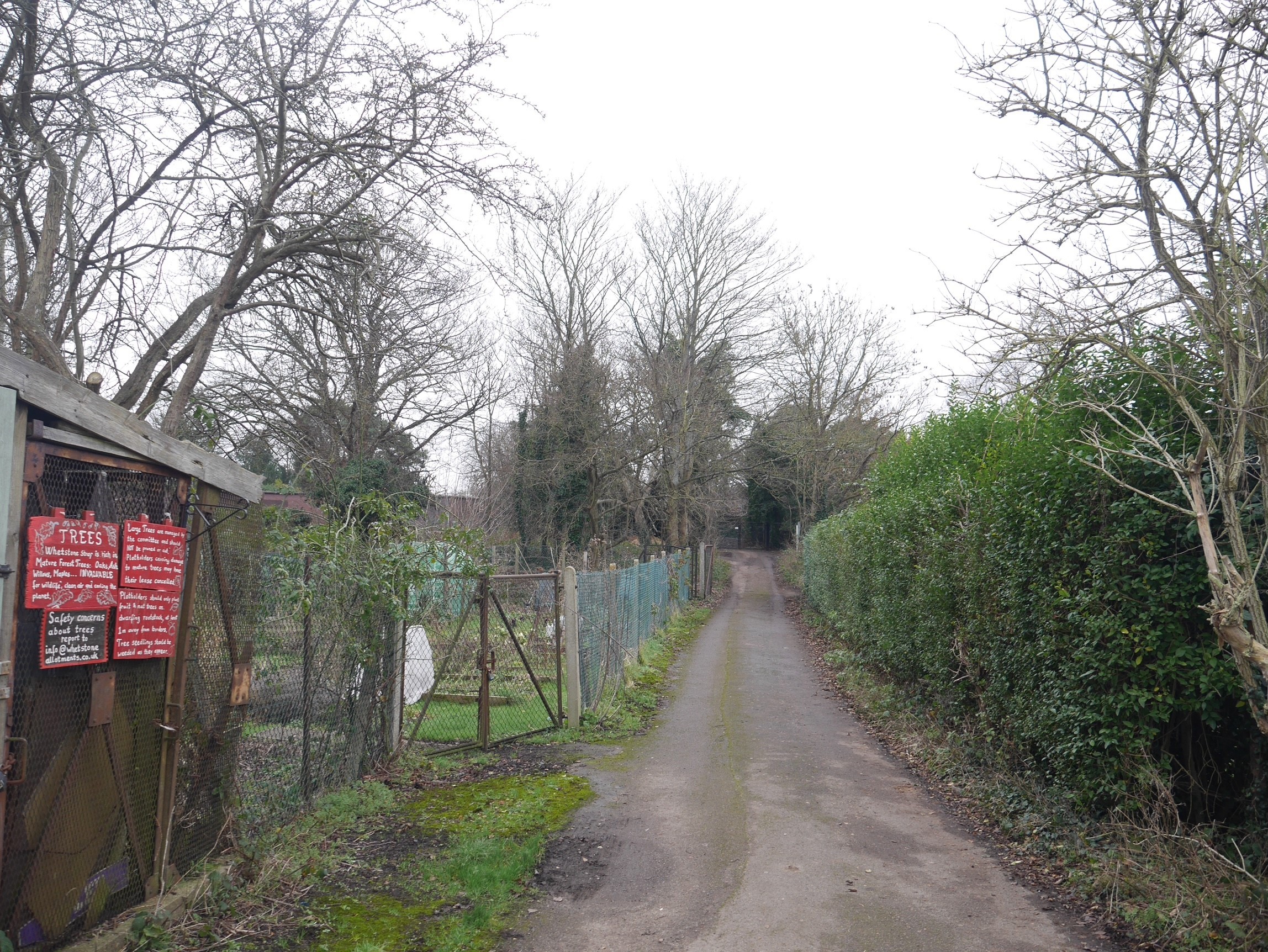 INVESTMENT - Freehold Land