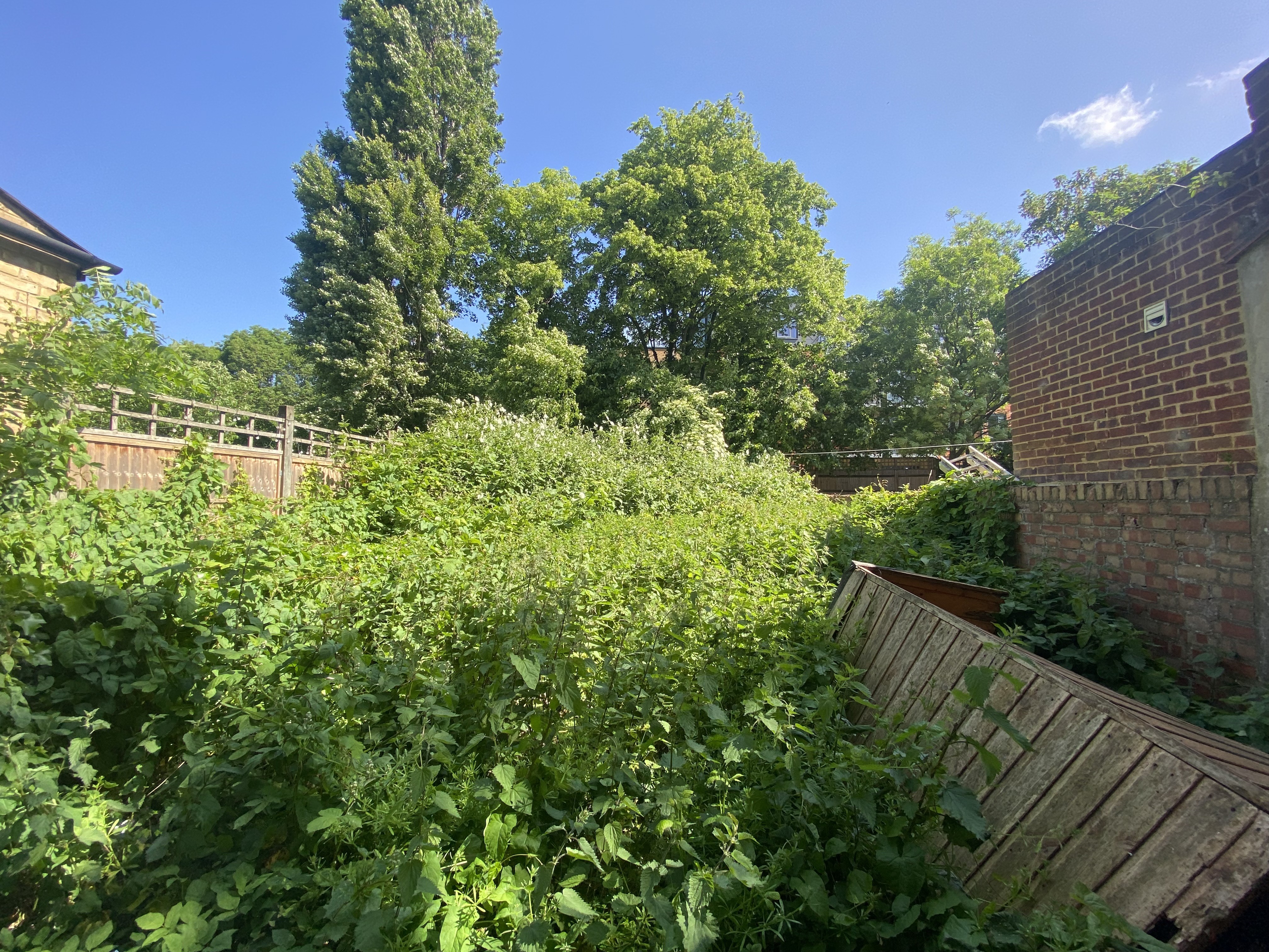 VACANT - Freehold Semi Detached Building