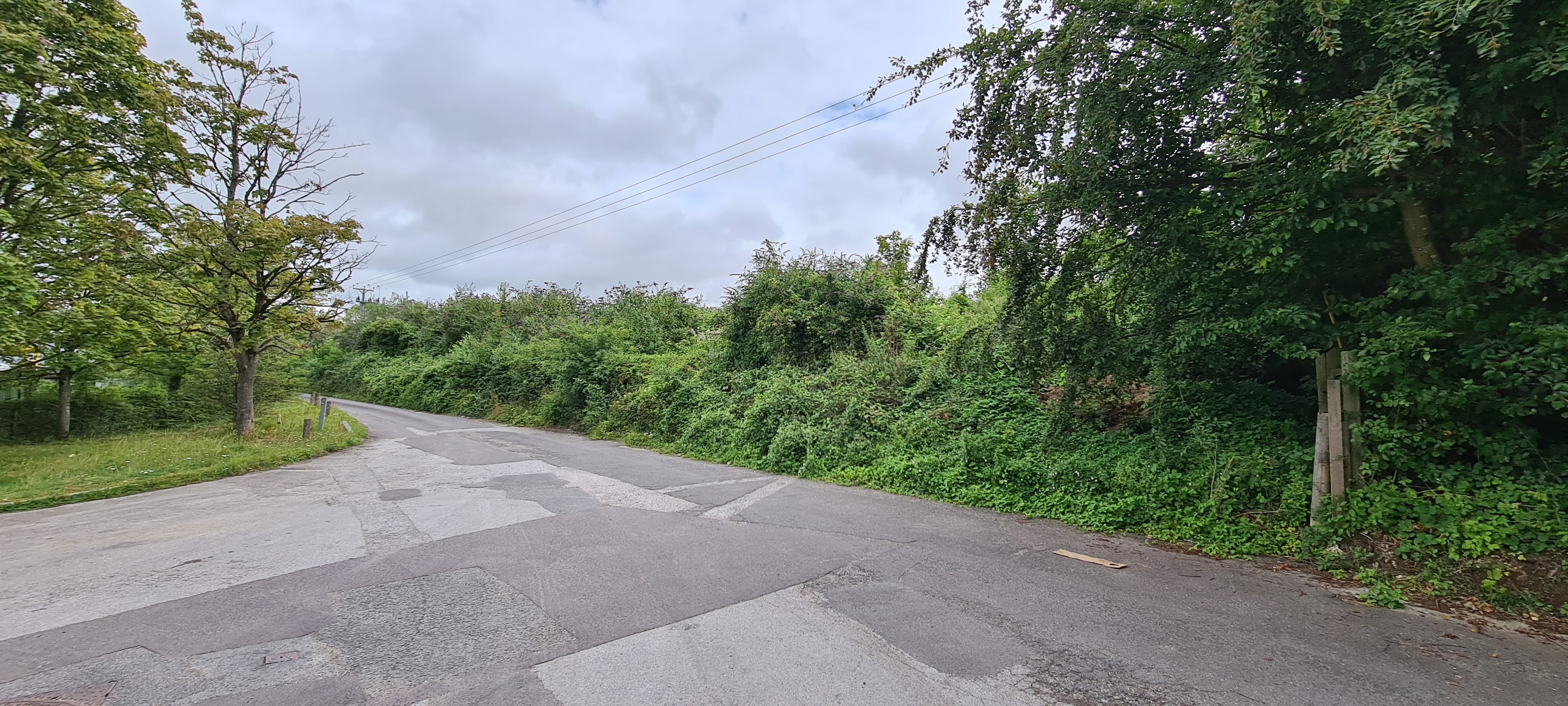 Freehold Land