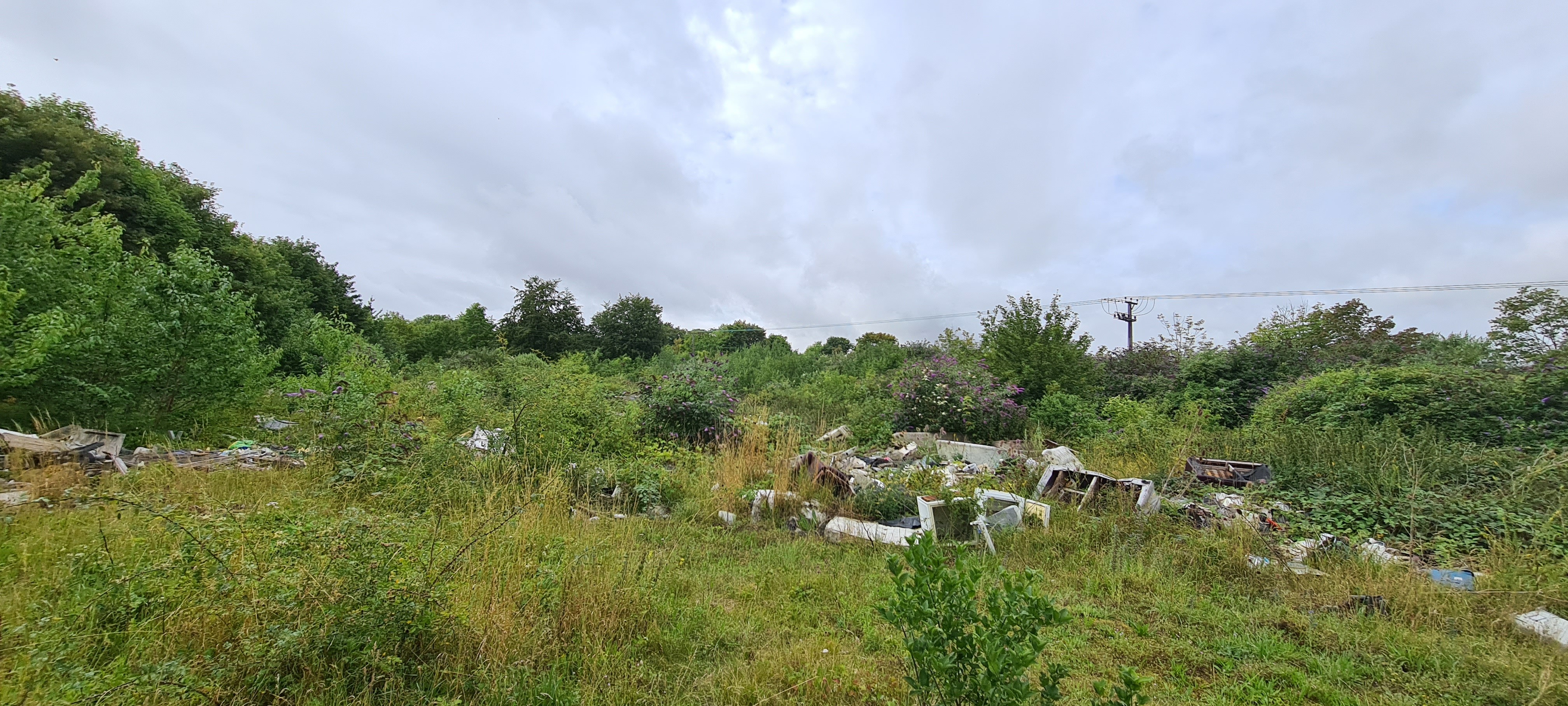 Freehold Land