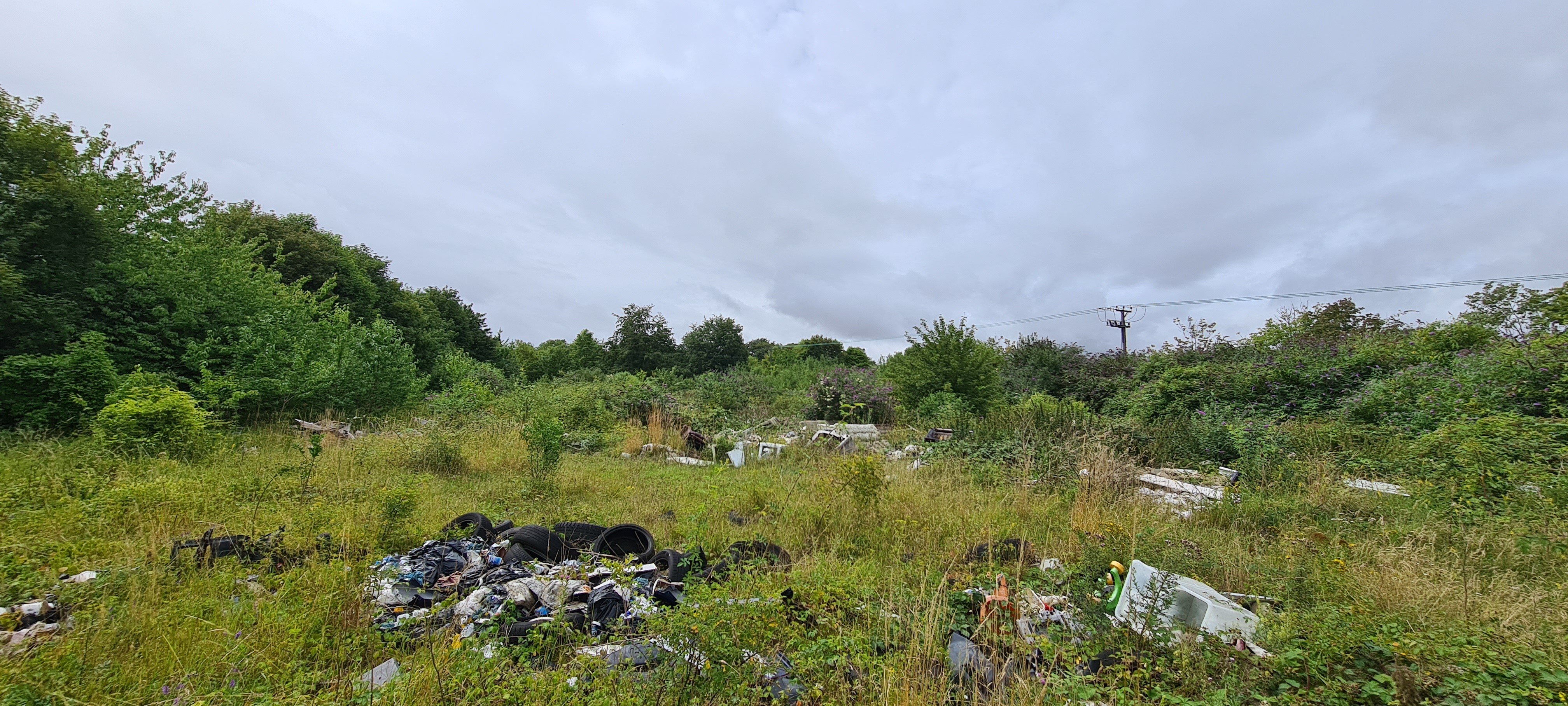Freehold Land