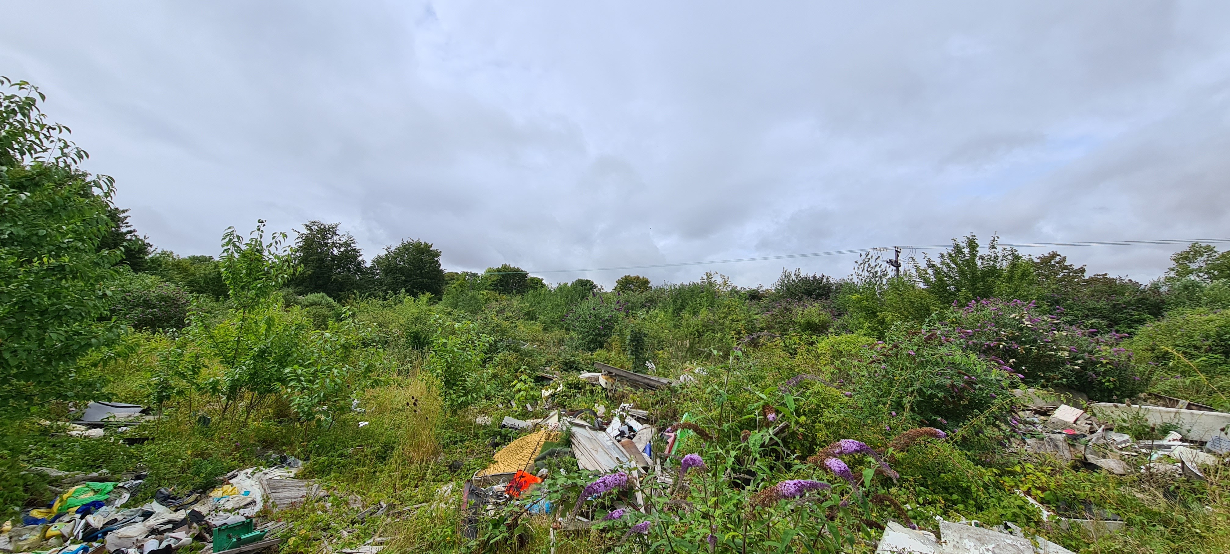 Freehold Land