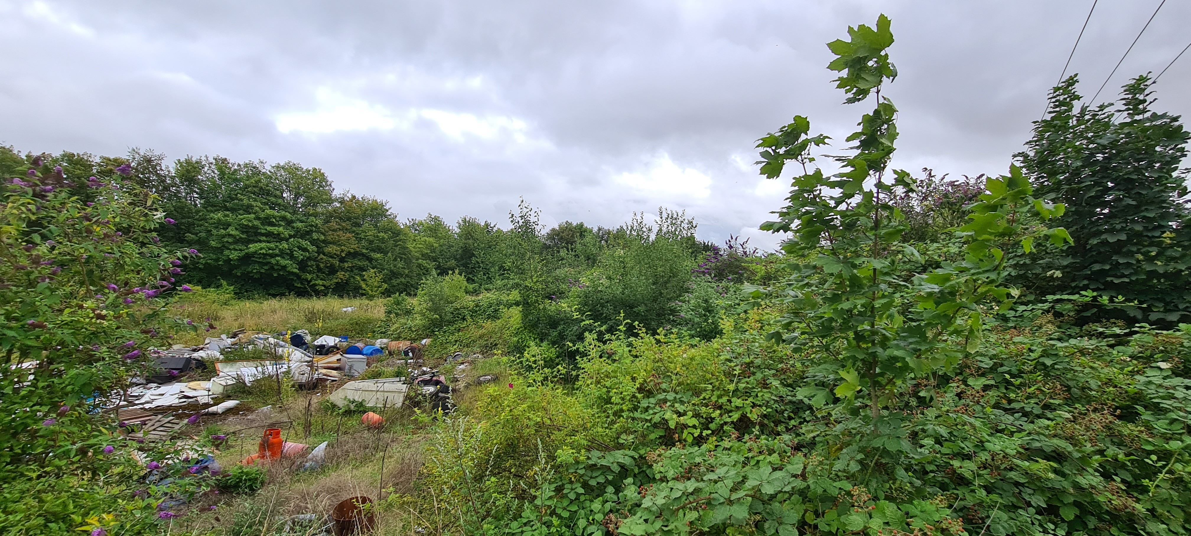 Freehold Land