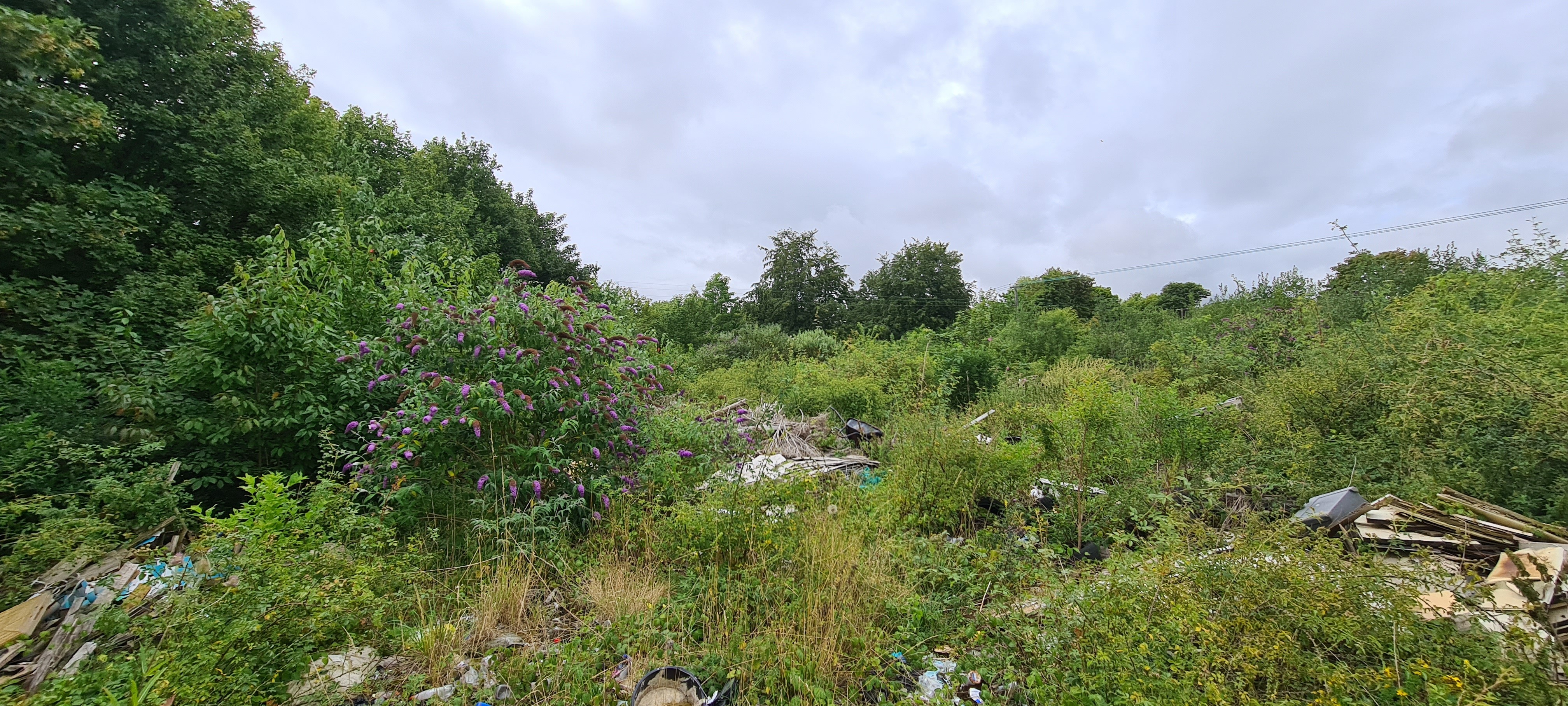 Freehold Land