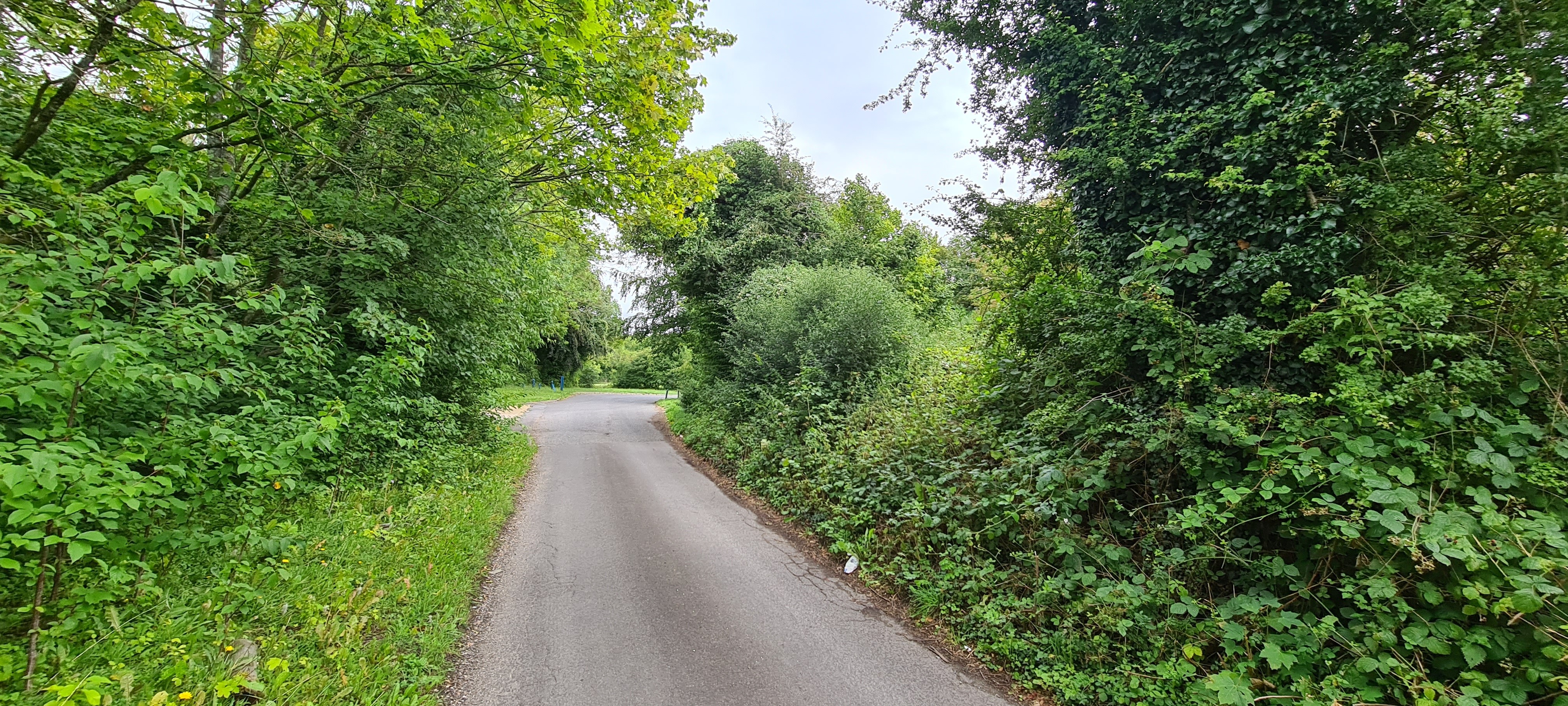 Freehold Land