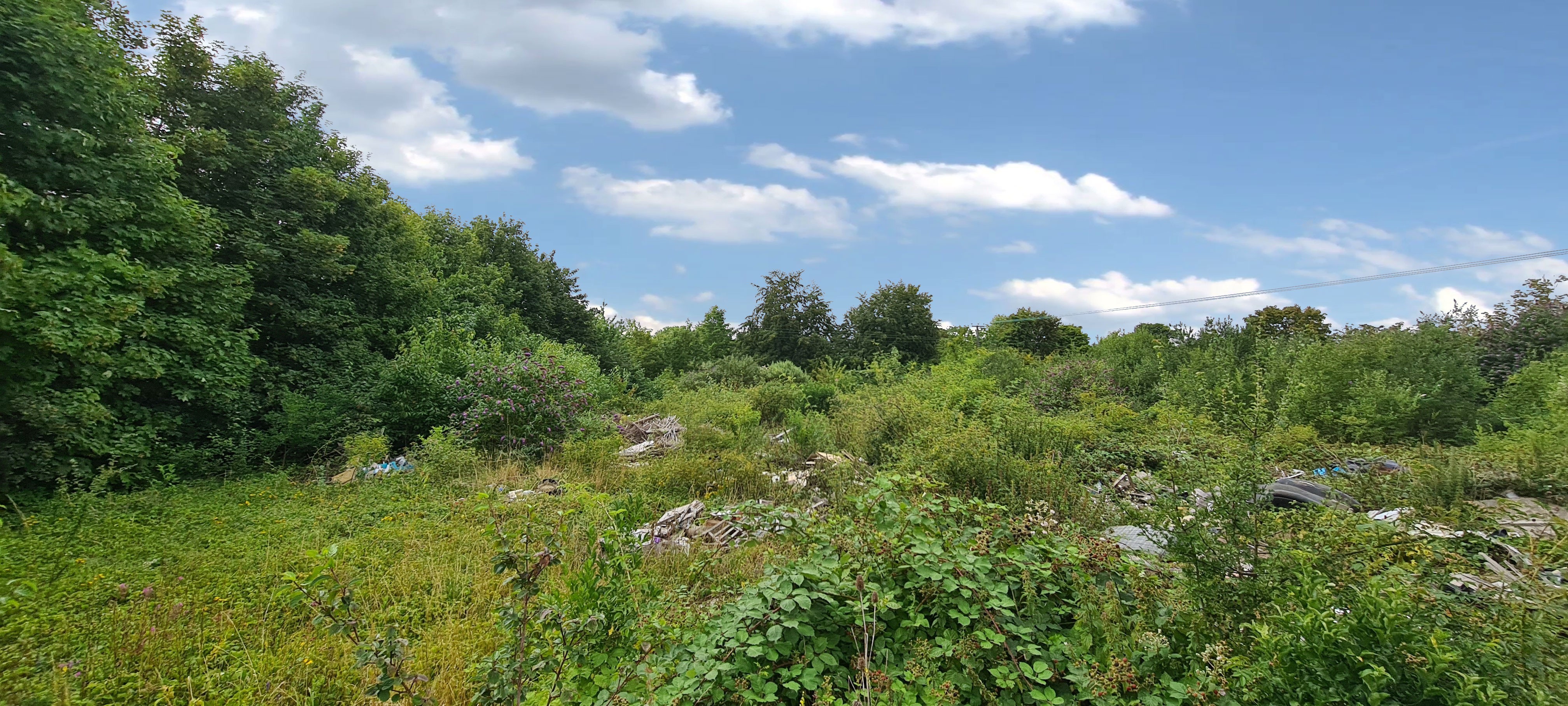Freehold Land