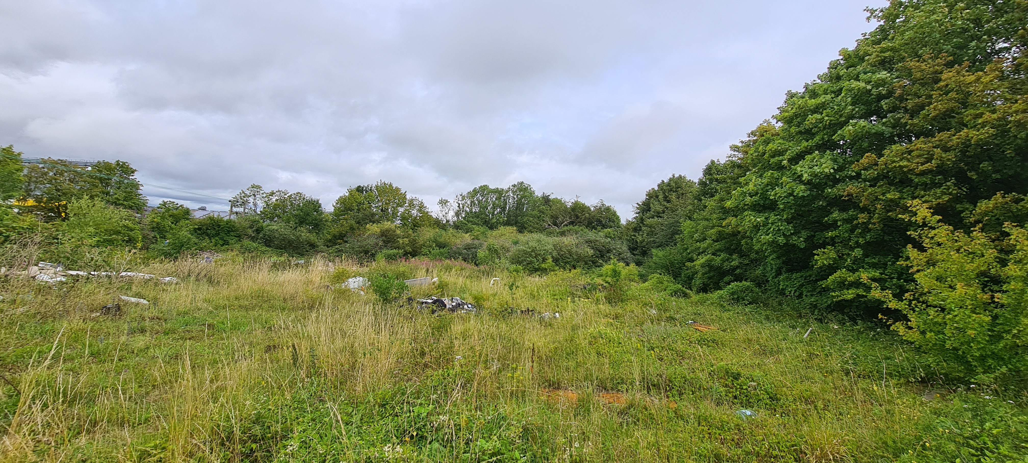 Freehold Land