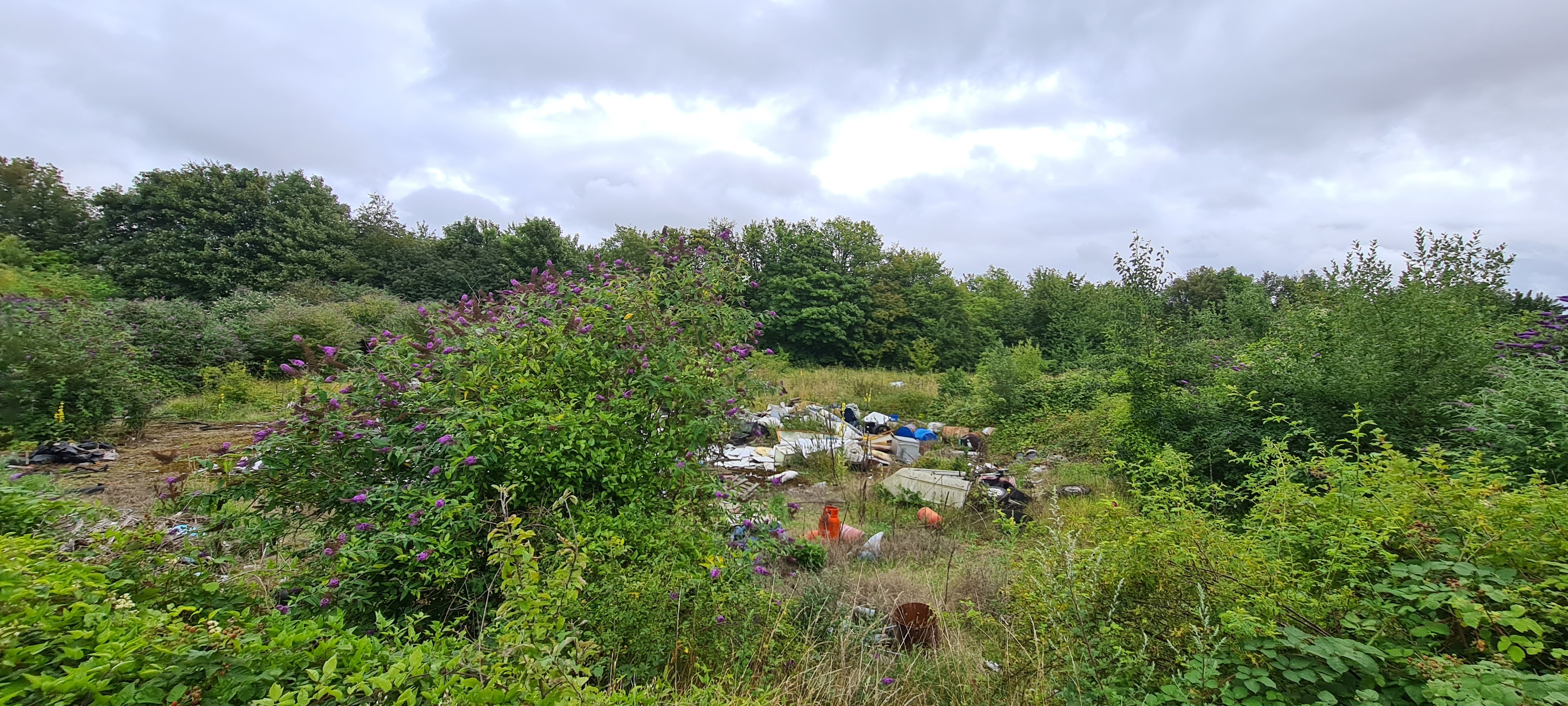 Freehold Land