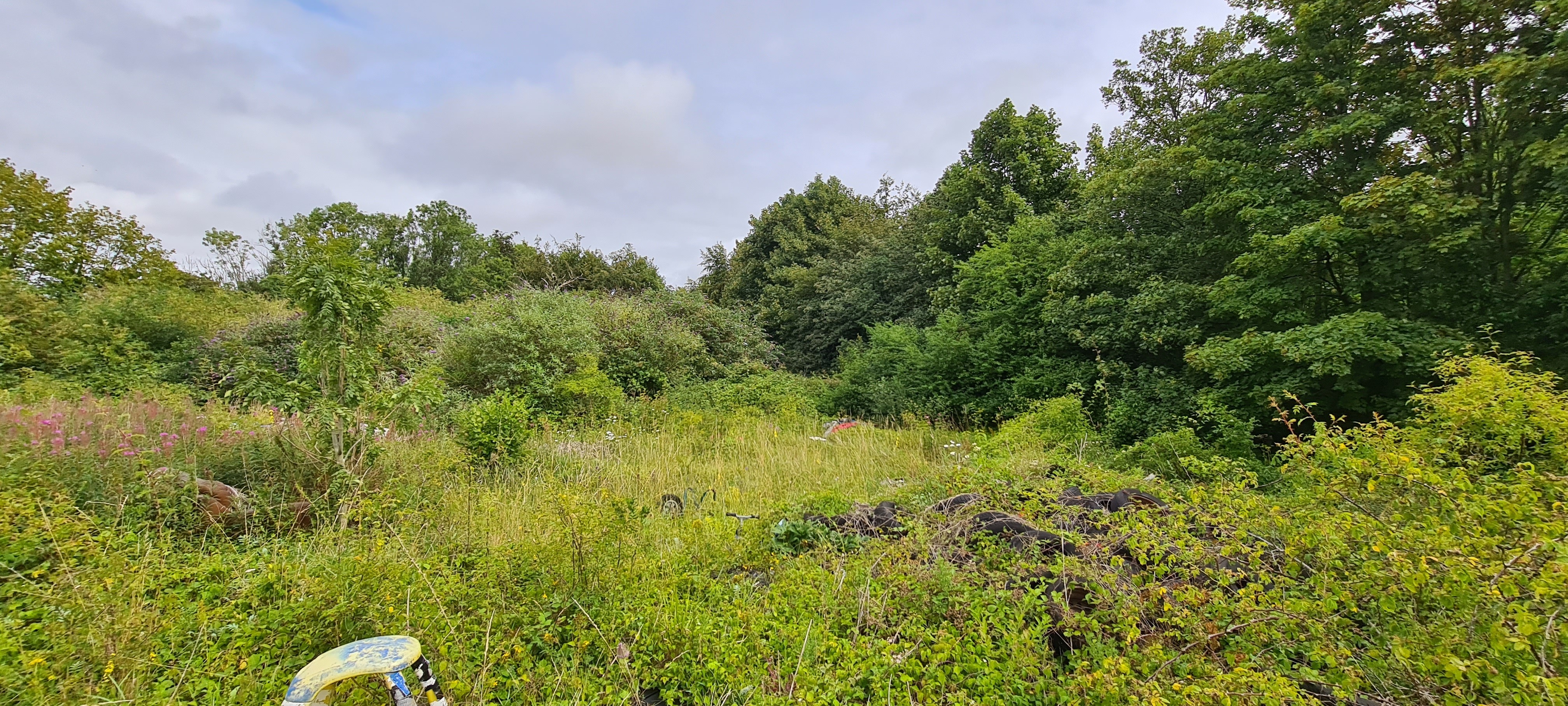 Freehold Land