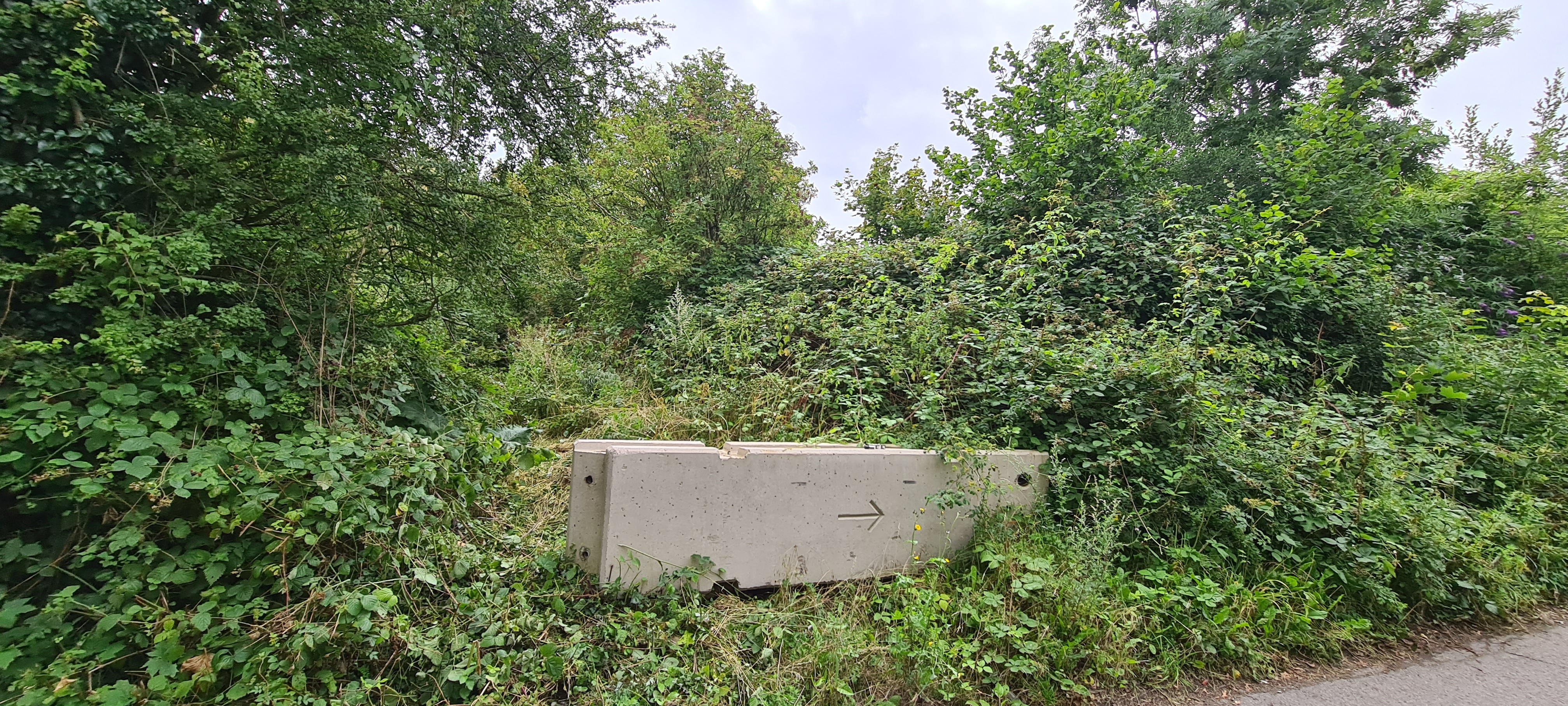 Freehold Land
