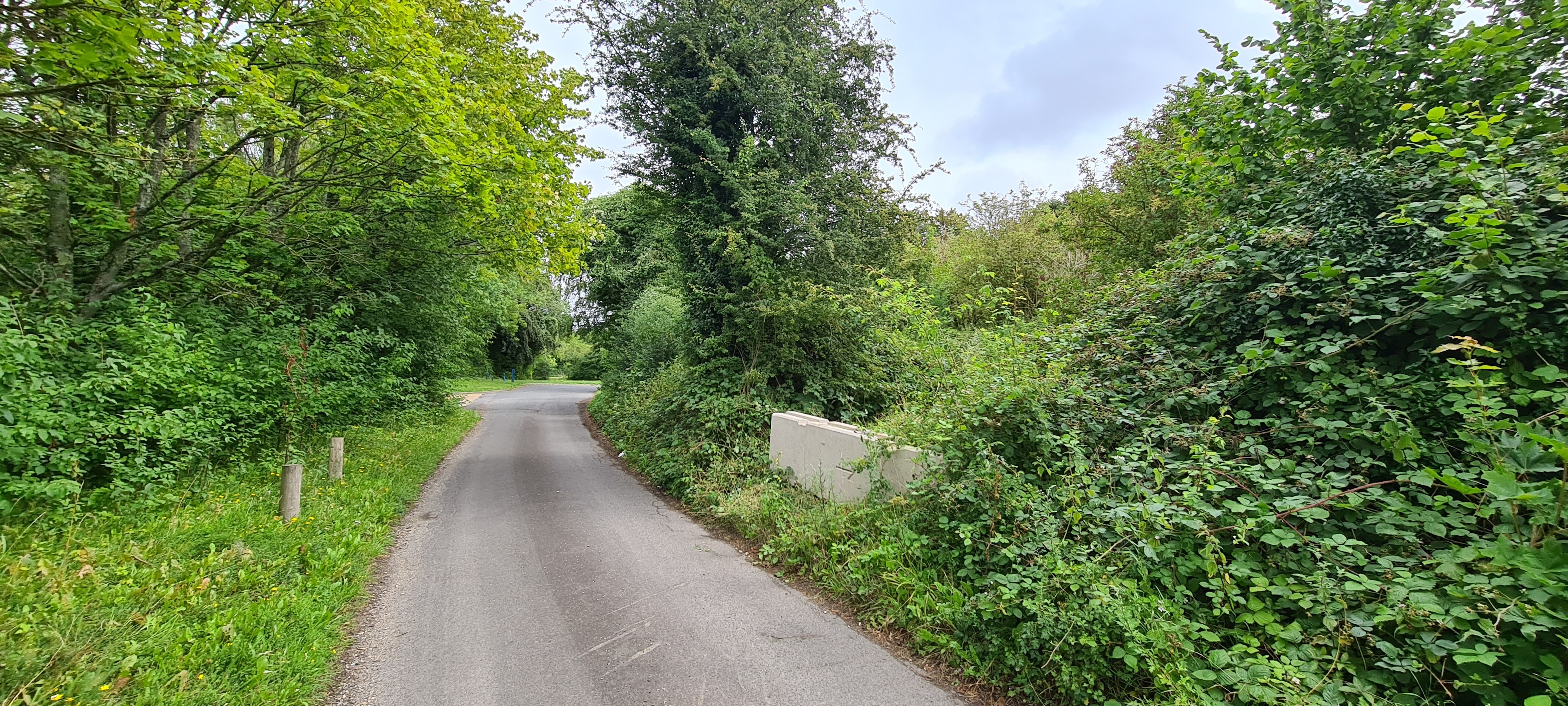 Freehold Land