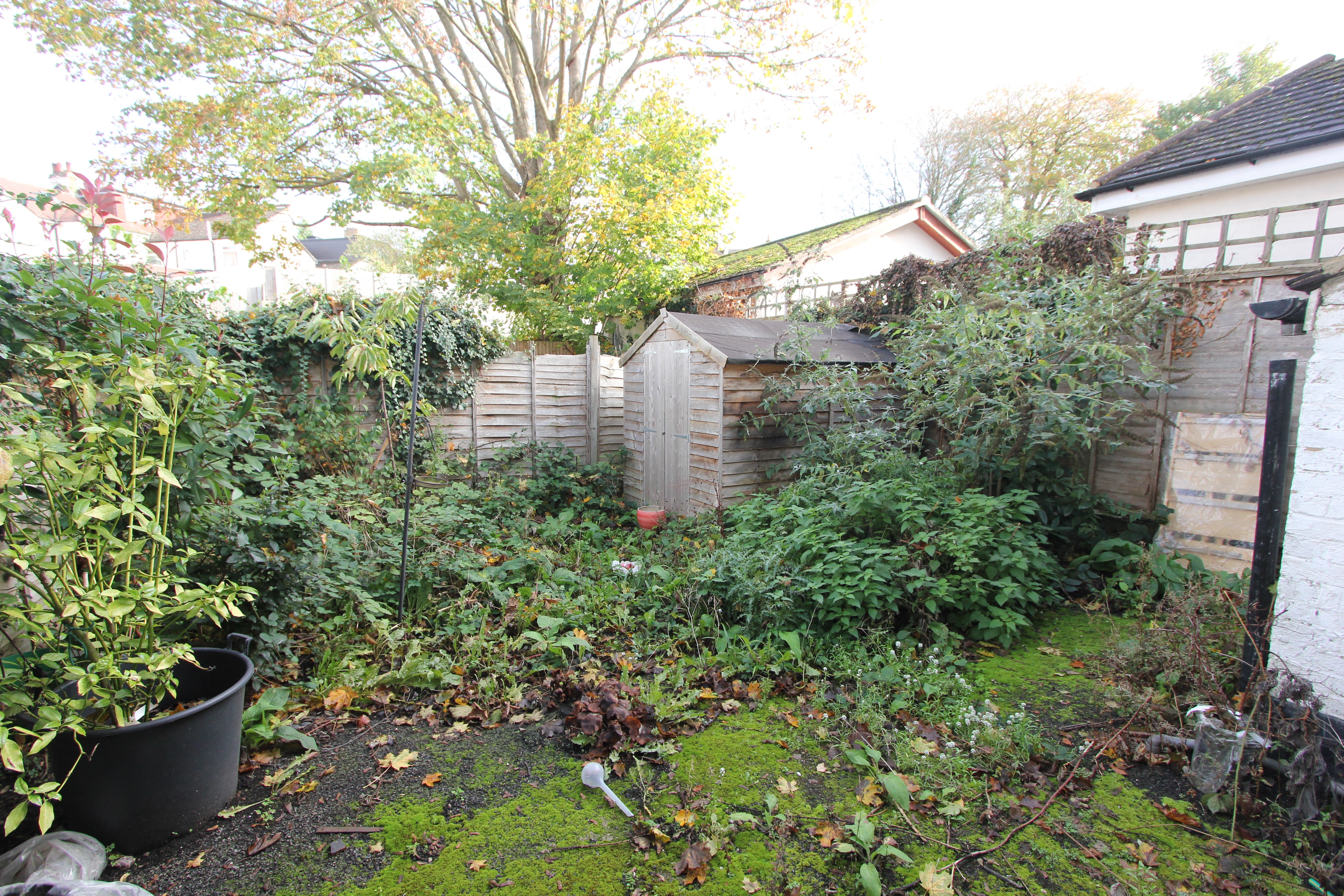 VACANT - Leasehold Self Contained Ground Floor Flat