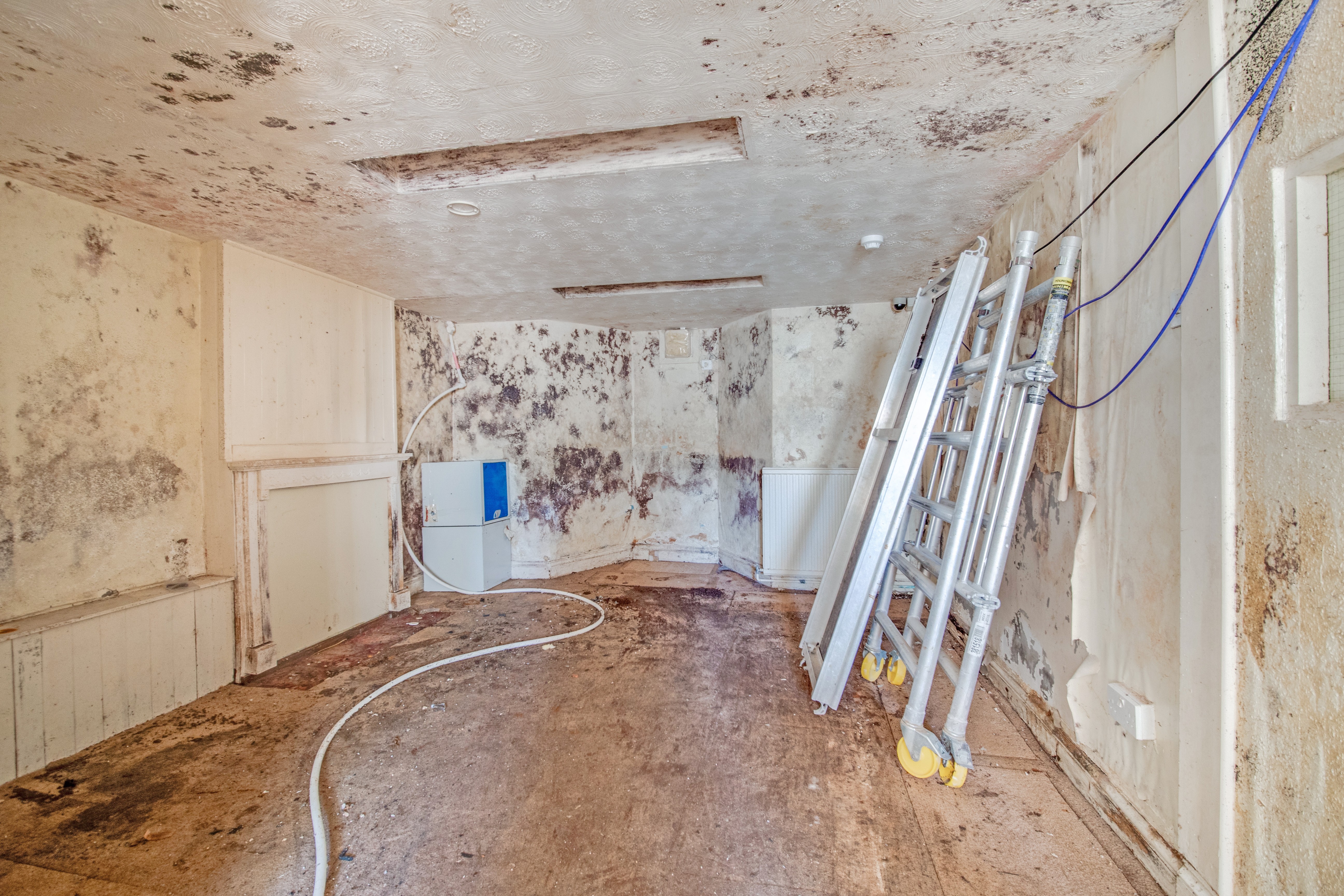 VACANT - Substantial Detached Freehold Building