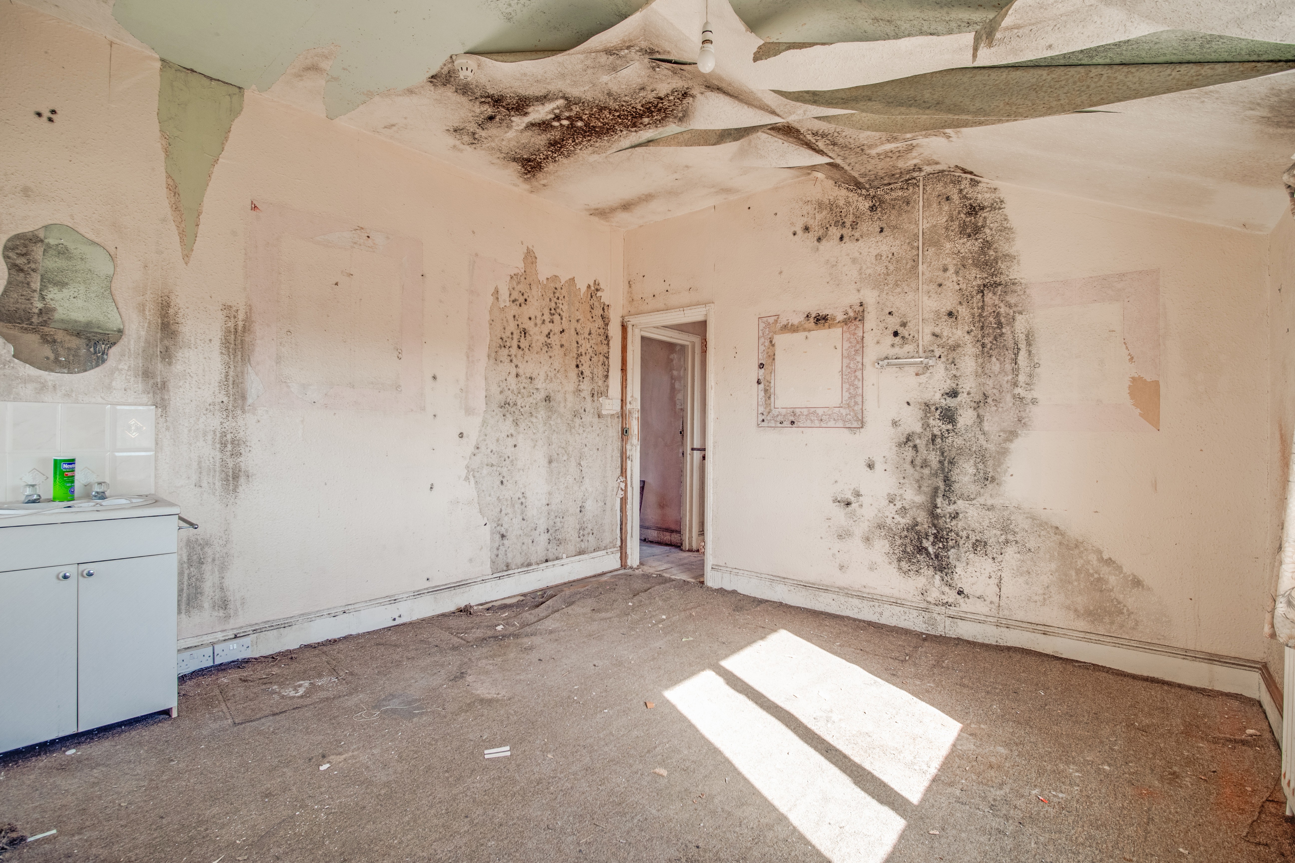 VACANT - Substantial Detached Freehold Building