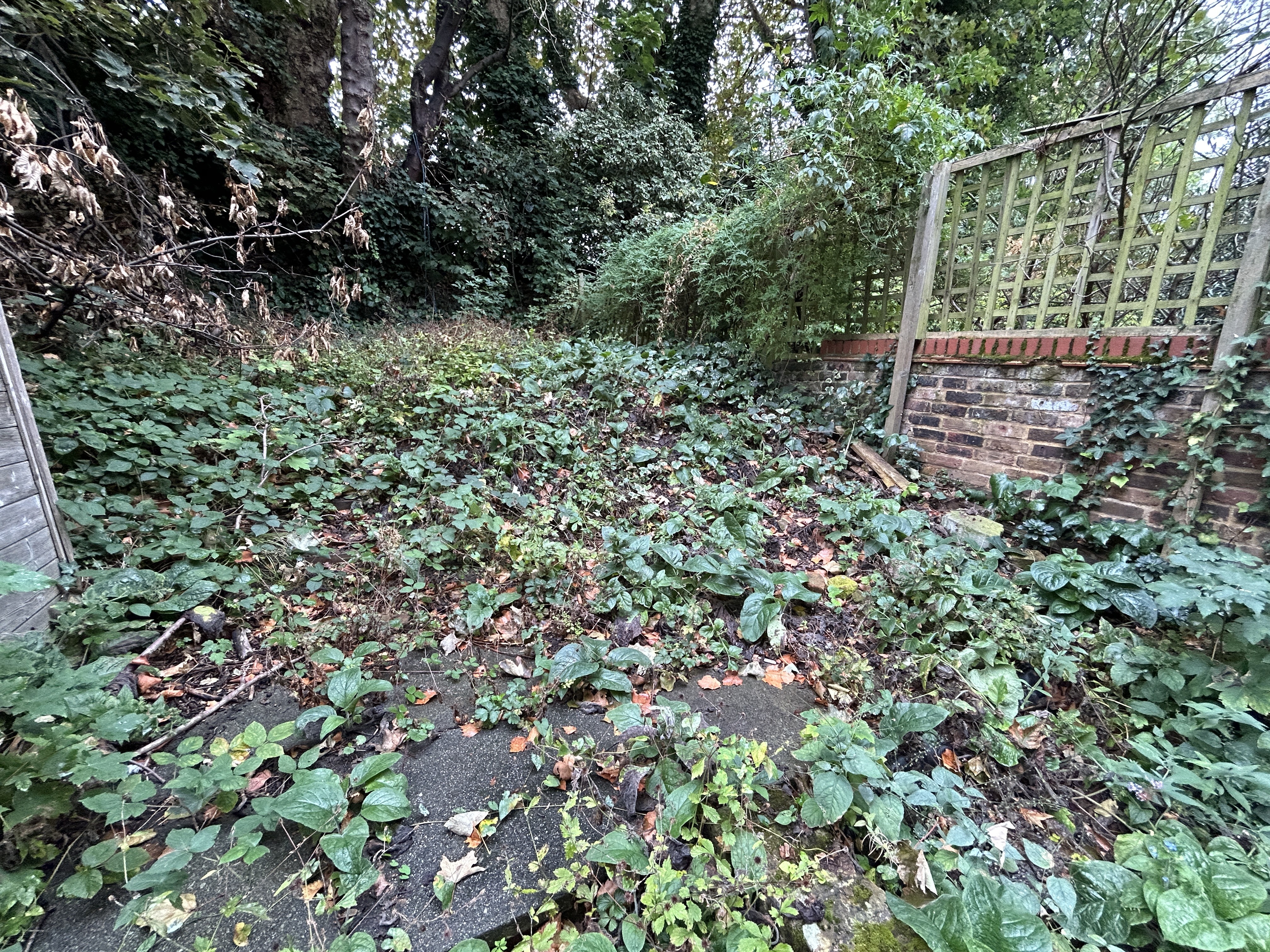 VACANT - Leasehold Self Contained Lower Ground Floor Flat