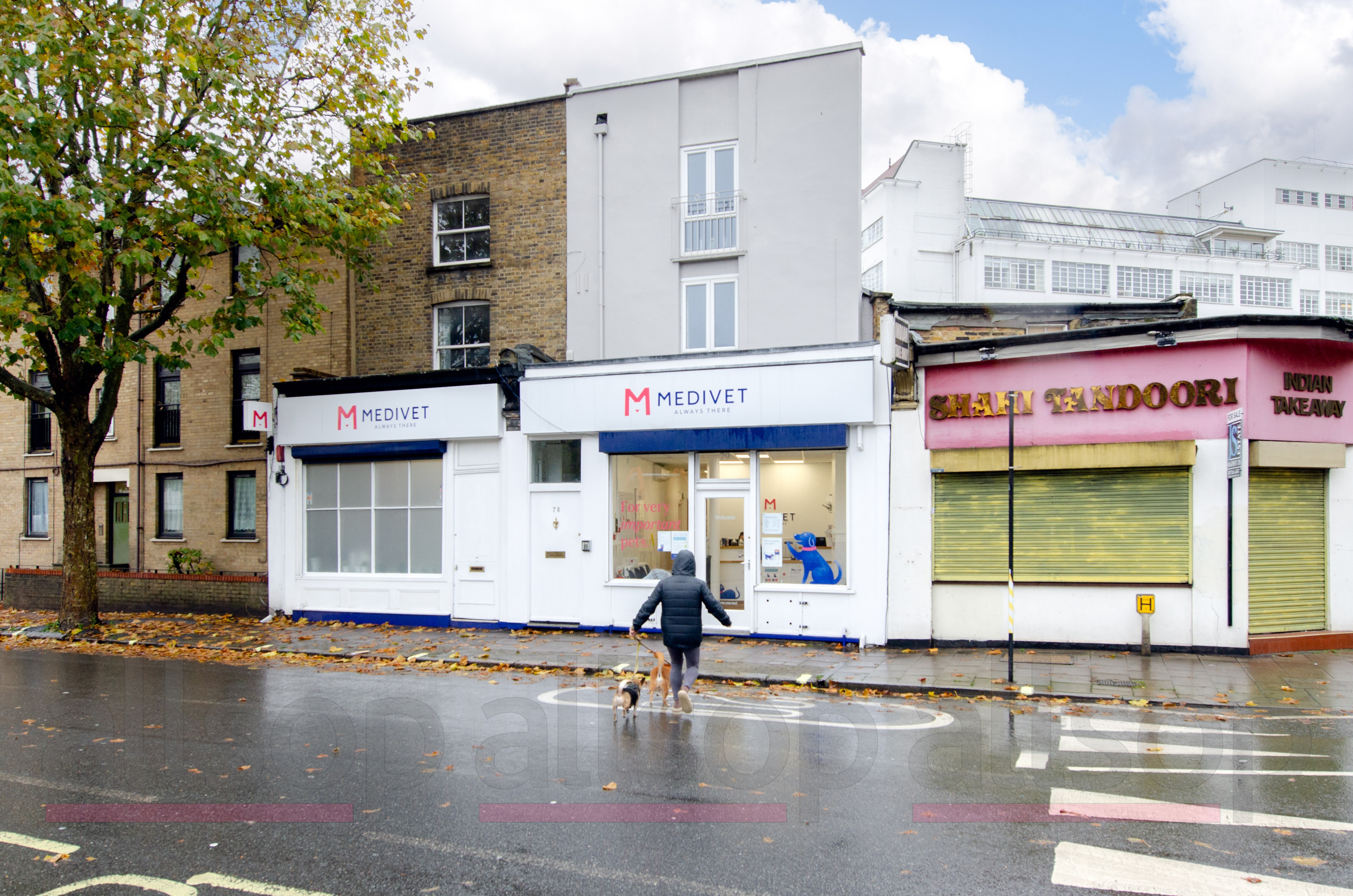 Freehold Veterinary Practice & Ground Rent Investment