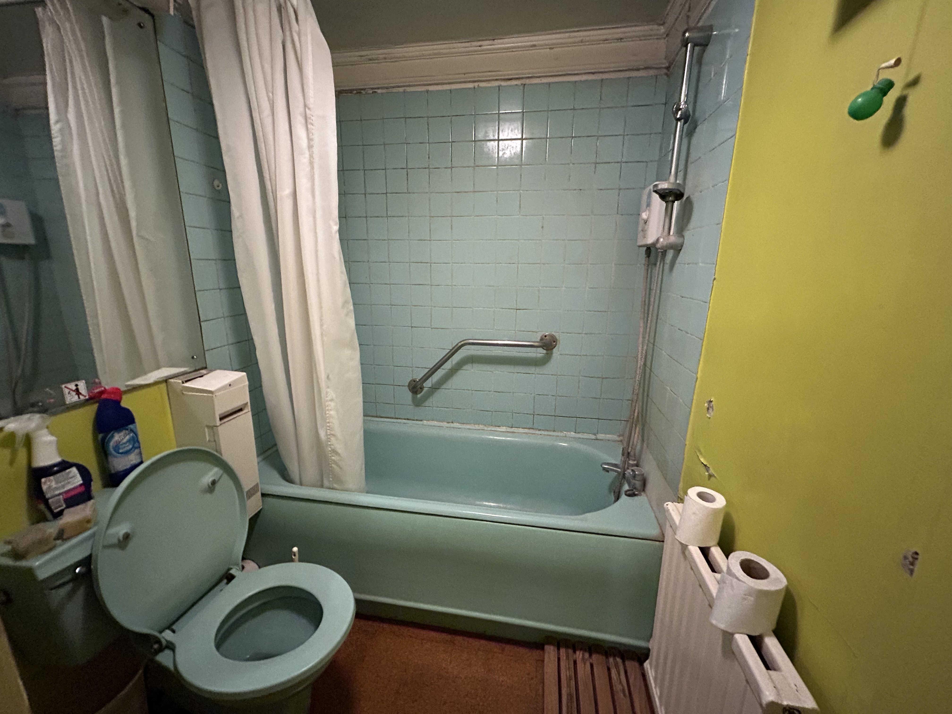 VACANT - Freehold  Attractive Victorian Detached Mansion Building with Garage