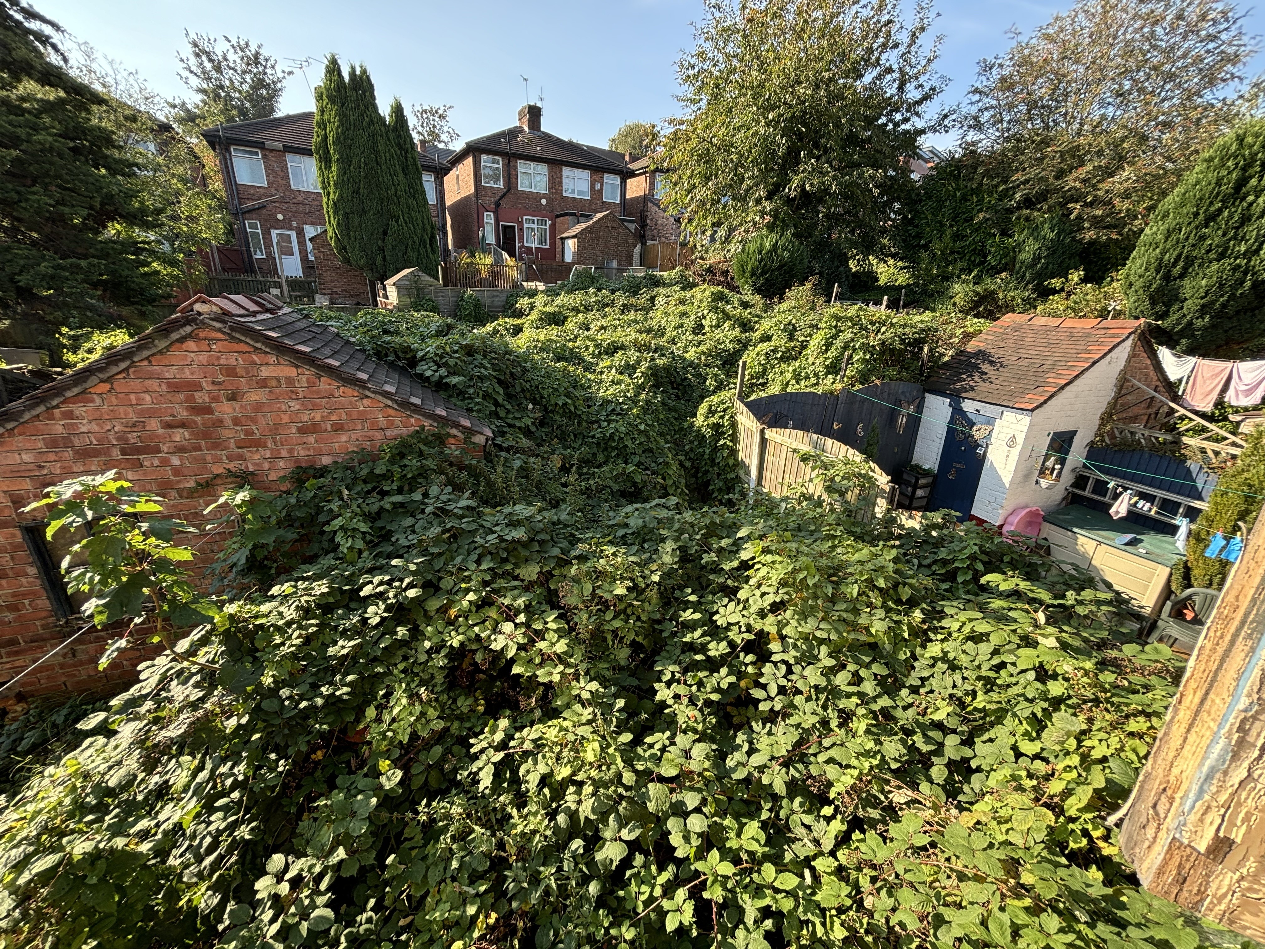 VACANT - Freehold Semi-Detached House