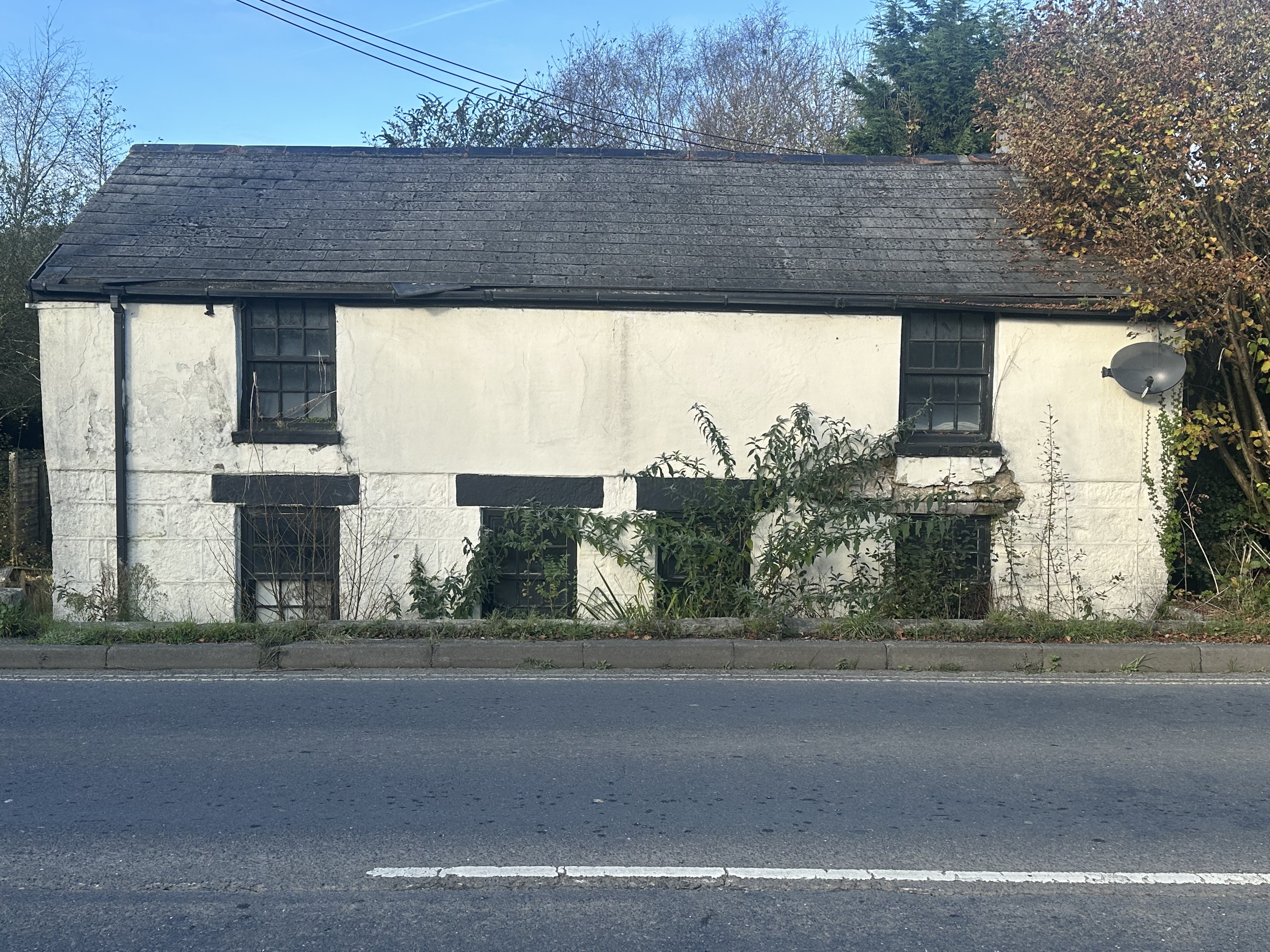 Freehold Detached House