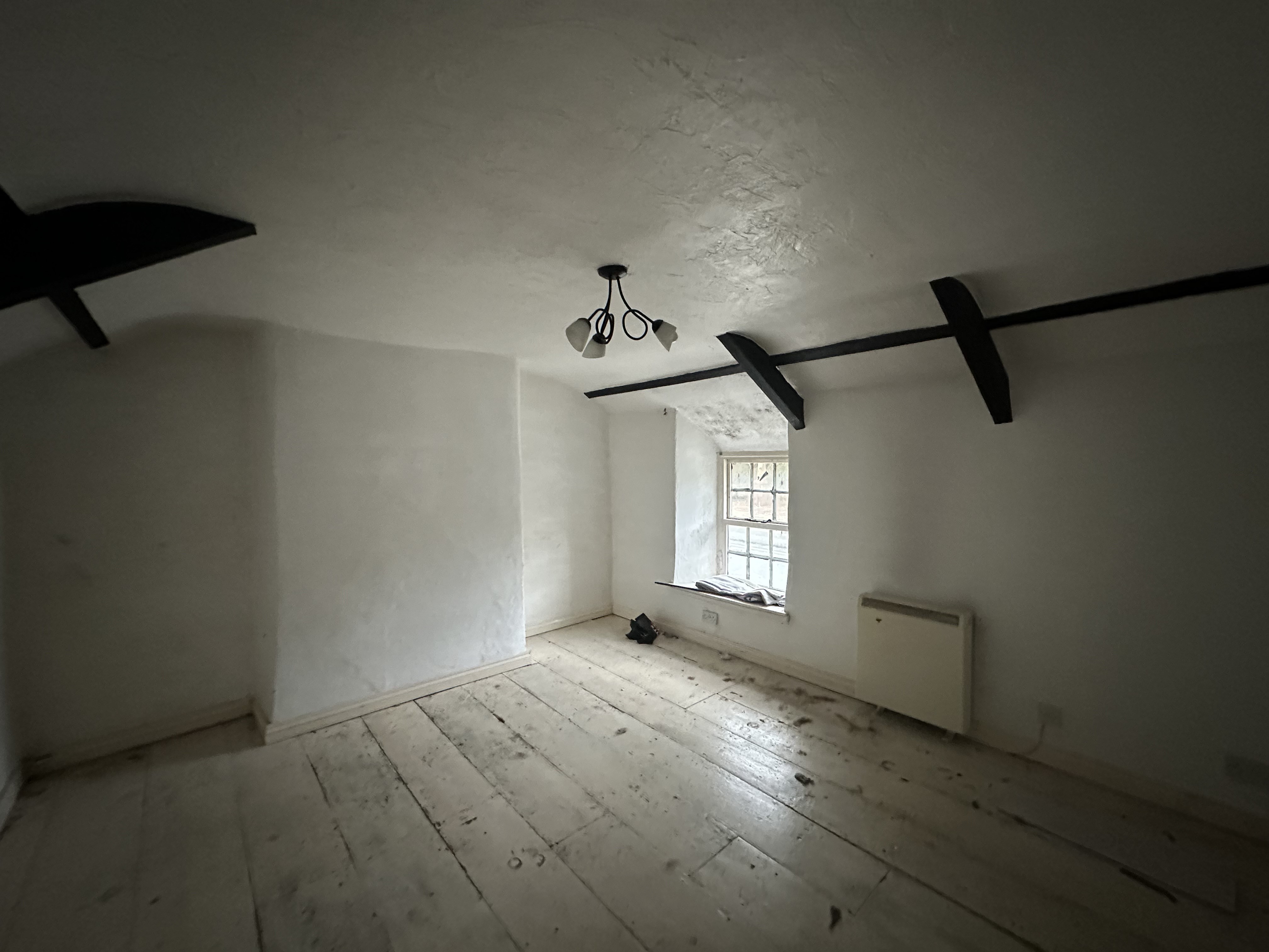 Freehold Detached House
