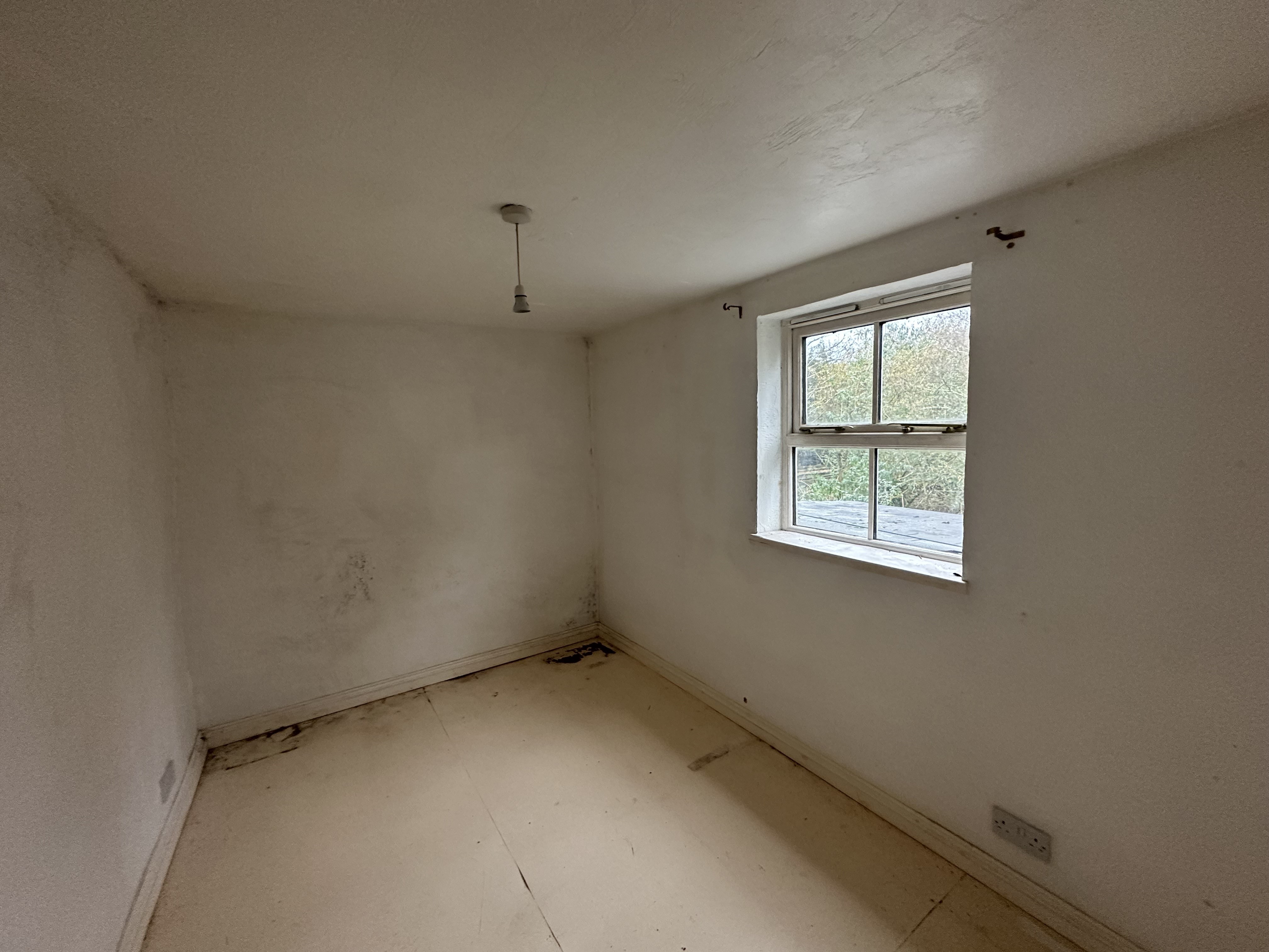 Freehold Detached House
