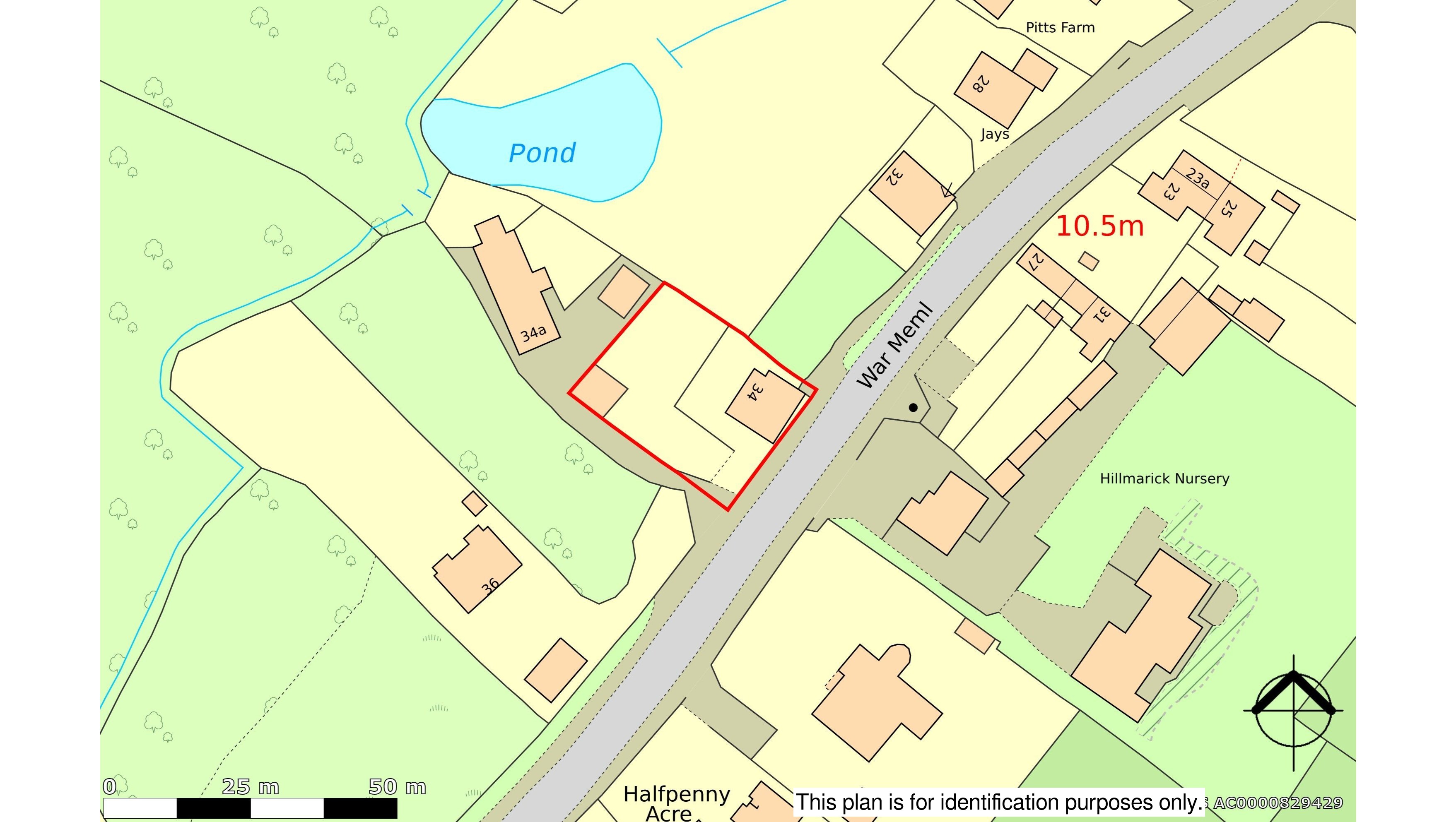 Freehold Detached House