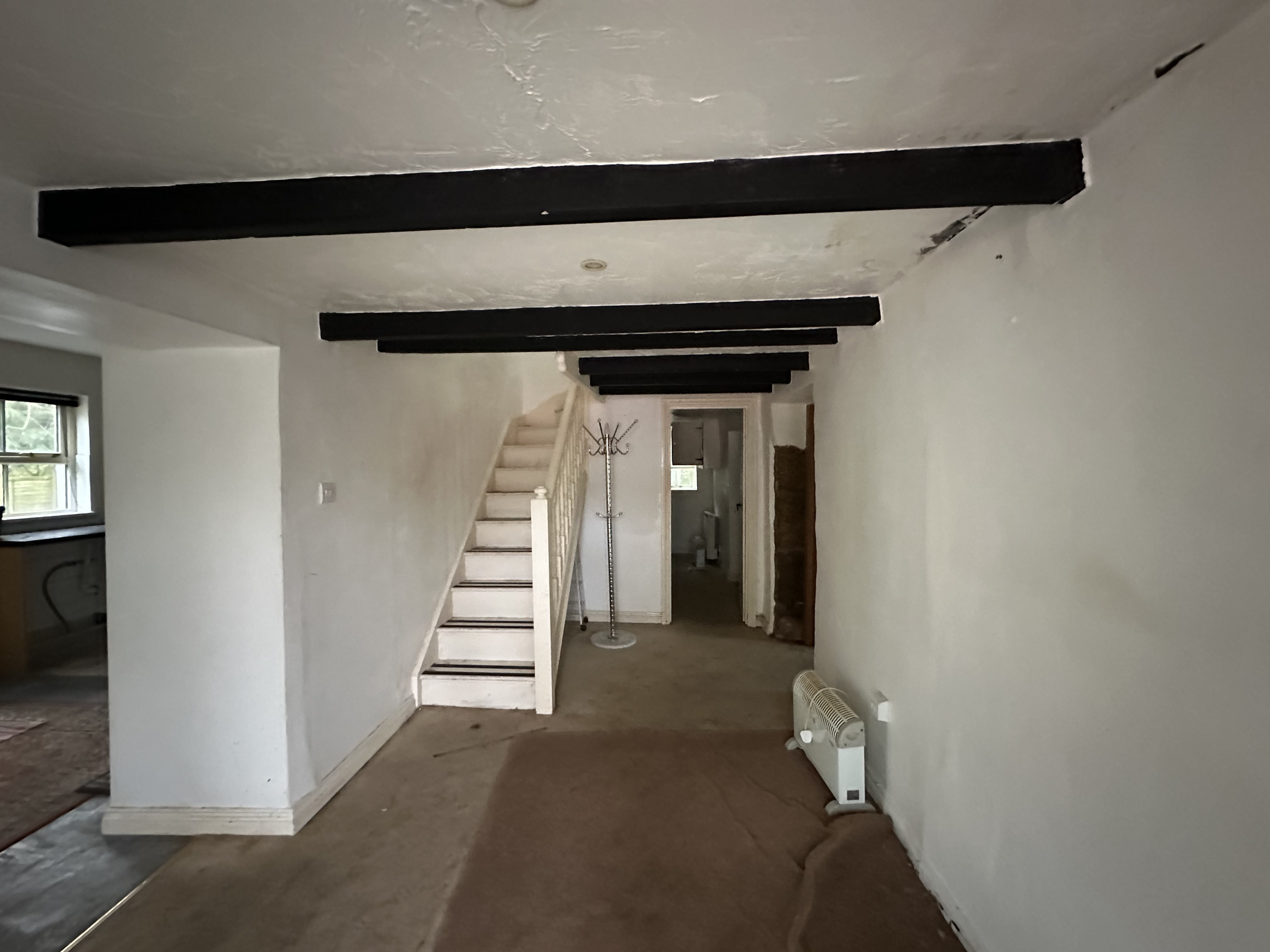 Freehold Detached House