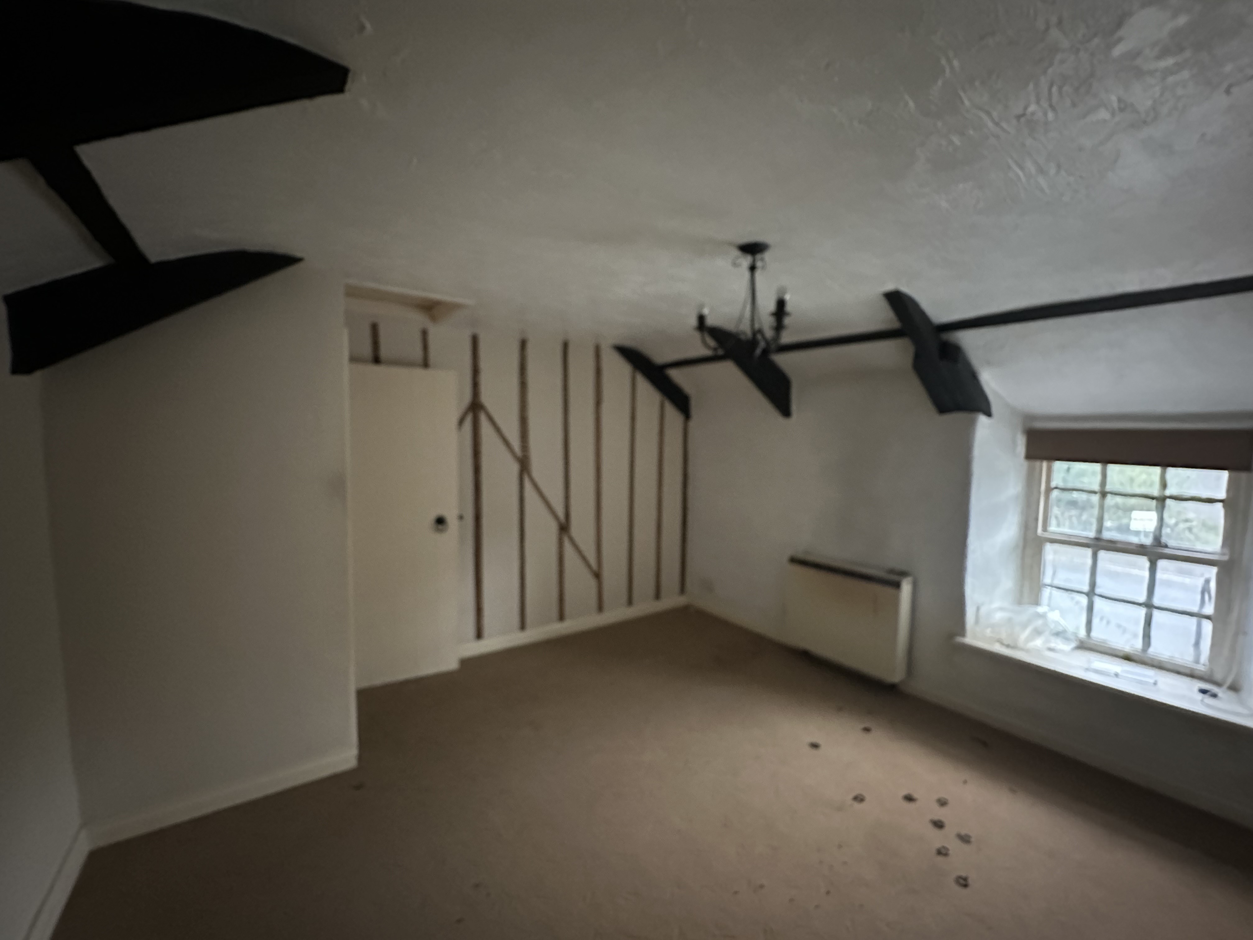 Freehold Detached House