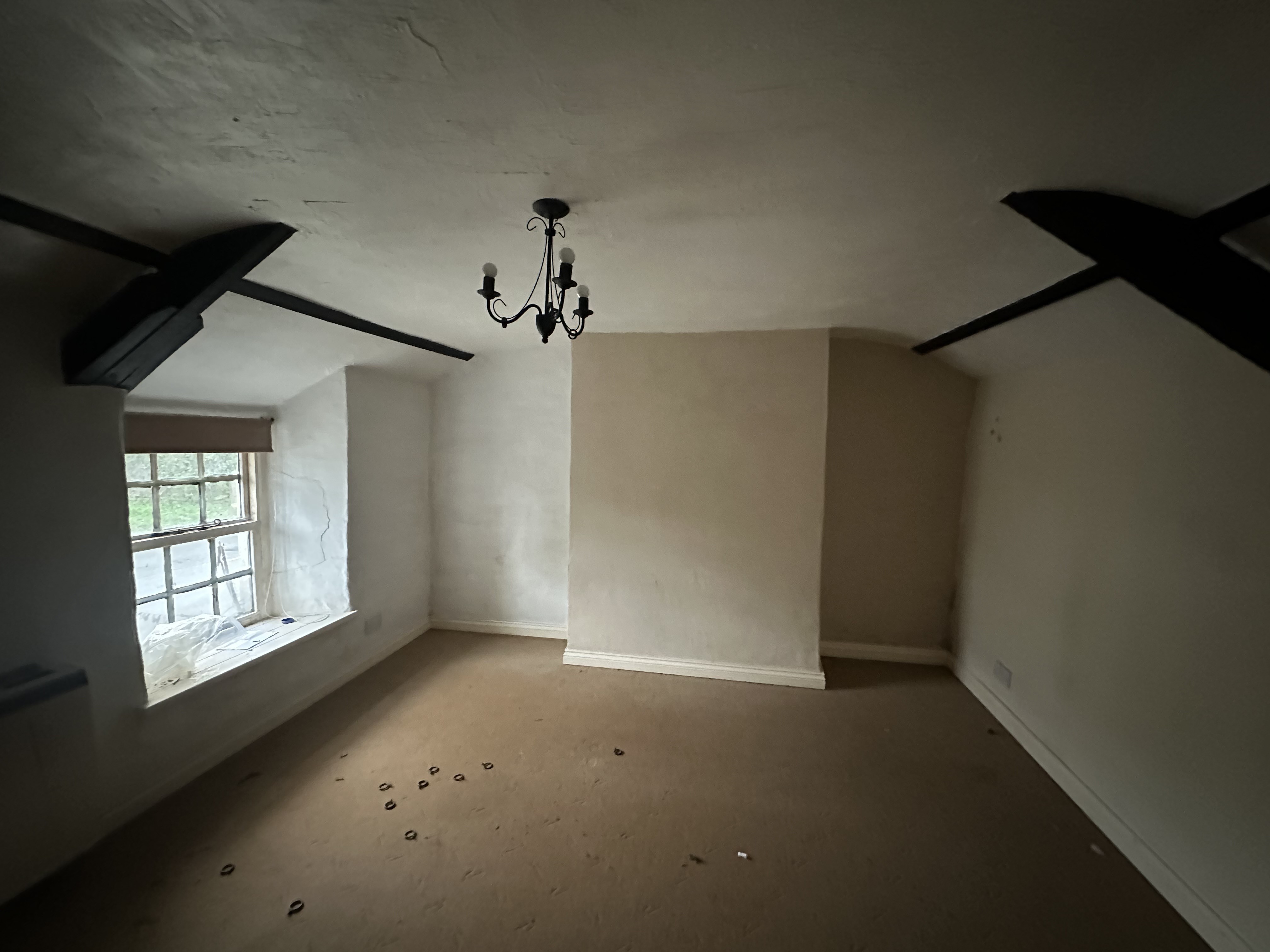 Freehold Detached House