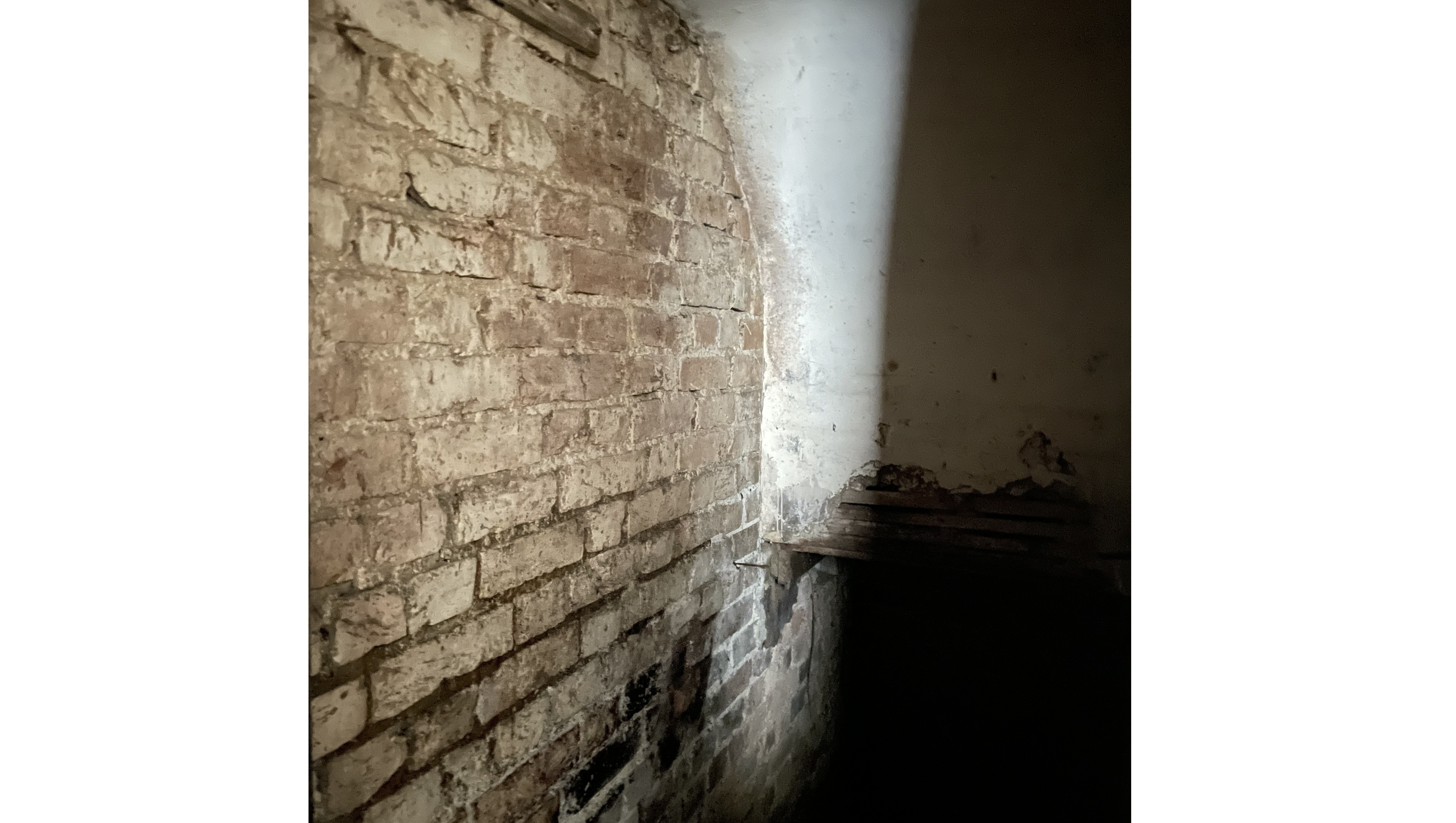 PART VACANT/INVESTMENT - Freehold Mid Terrace Building