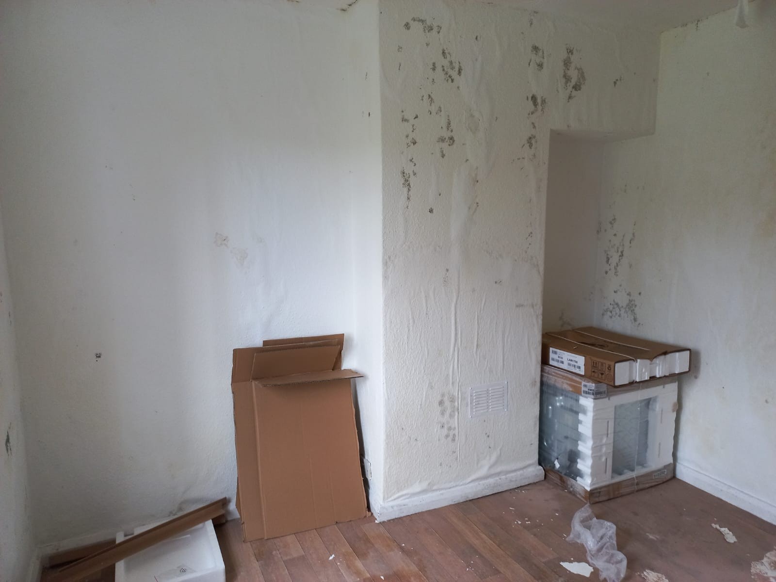 VACANT - Freehold Semi-Detached Building