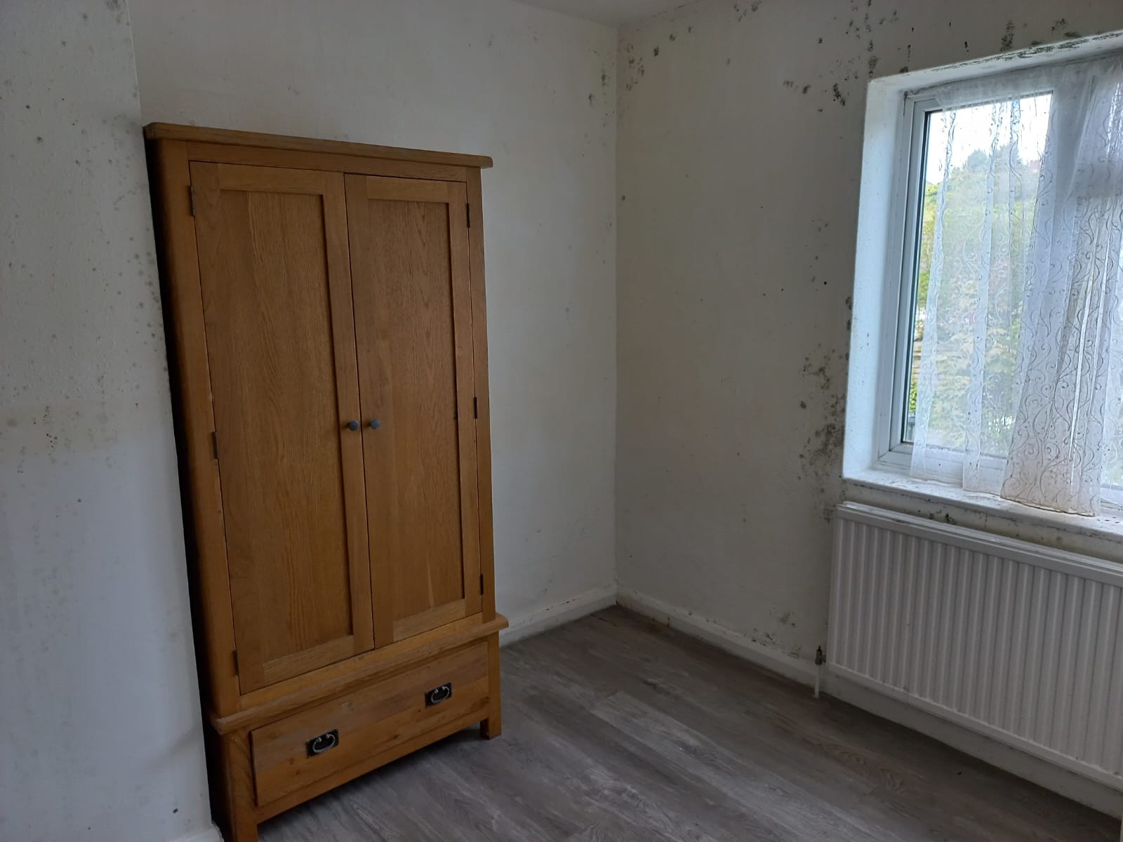 VACANT - Freehold Semi-Detached Building