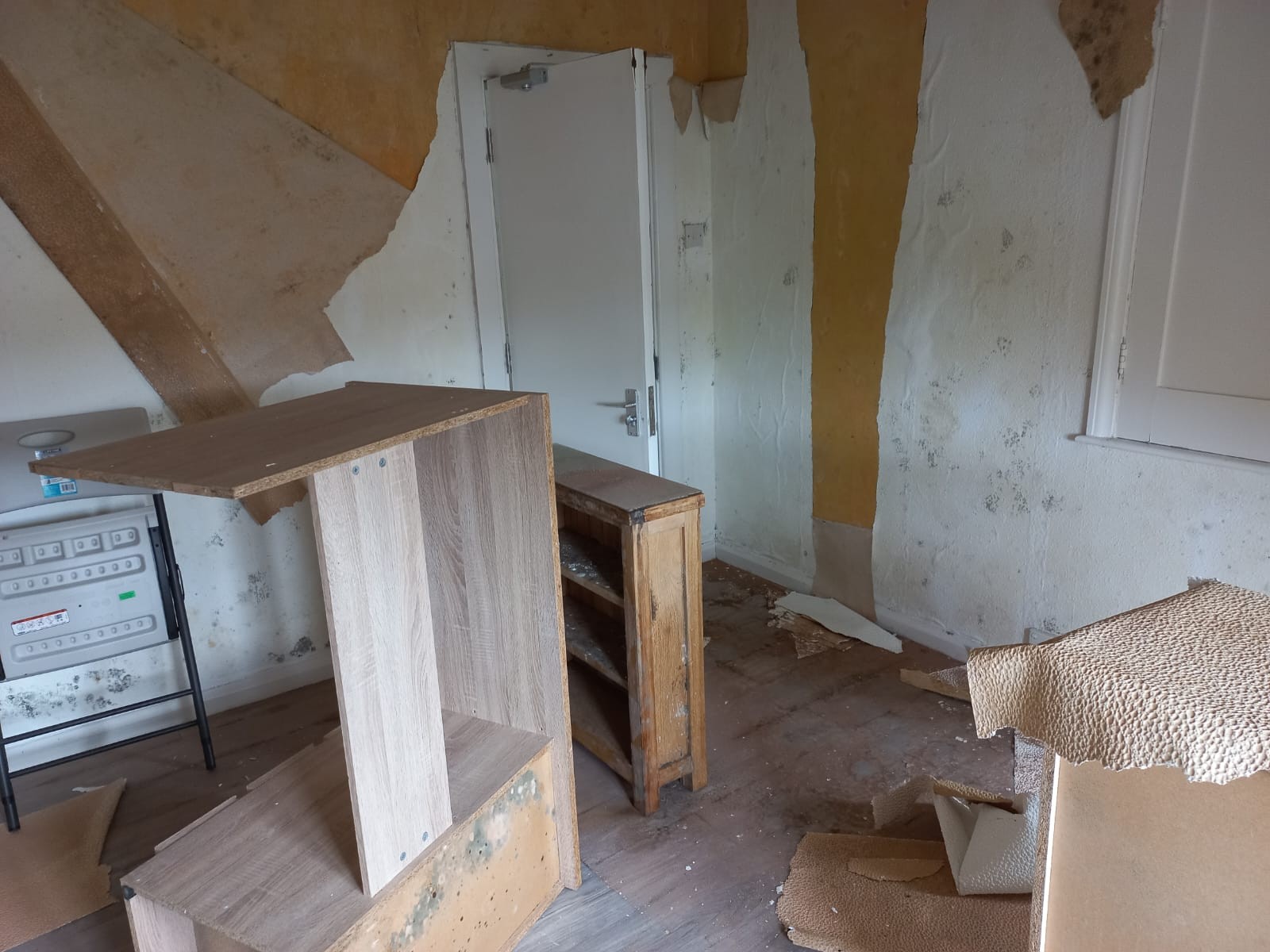 VACANT - Freehold Semi-Detached Building