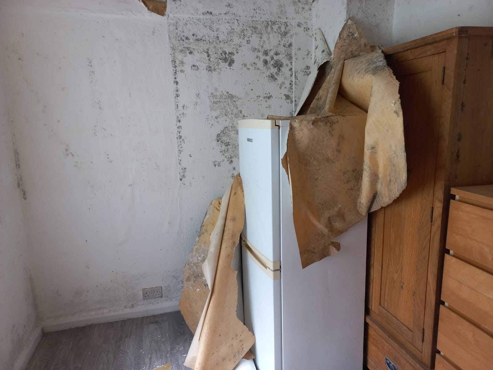 VACANT - Freehold Semi-Detached Building