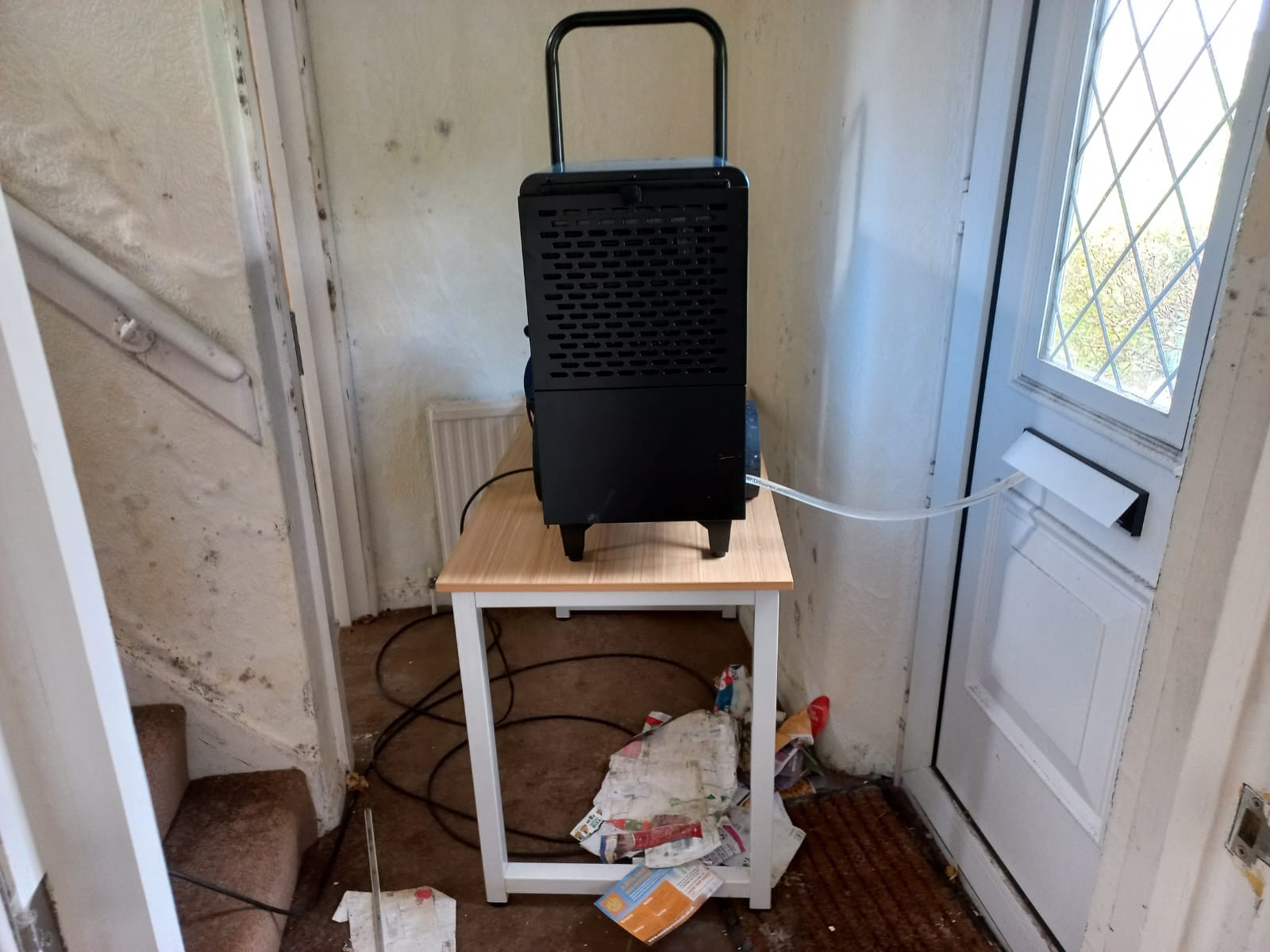 VACANT - Freehold Semi-Detached Building