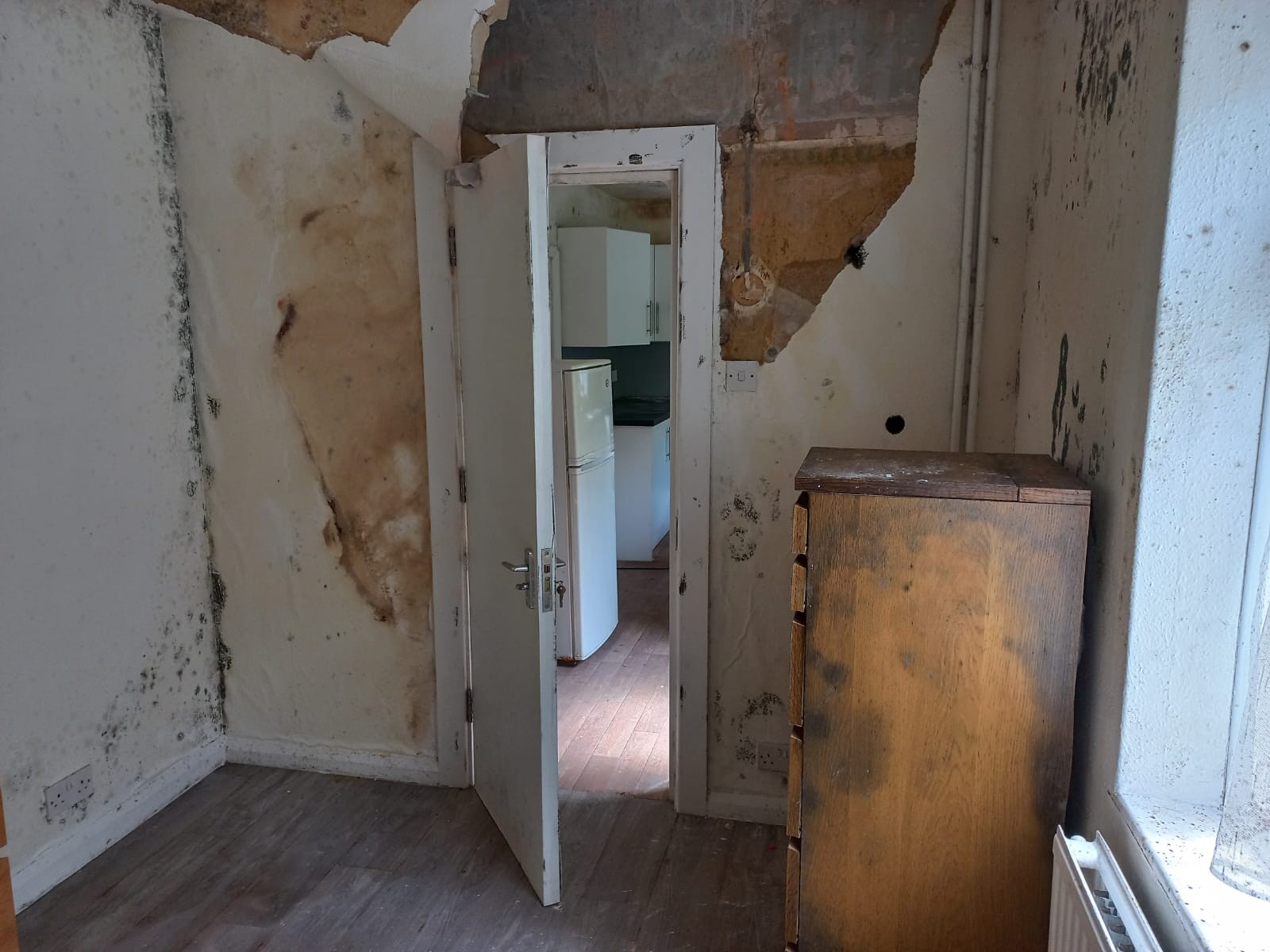 VACANT - Freehold Semi-Detached Building