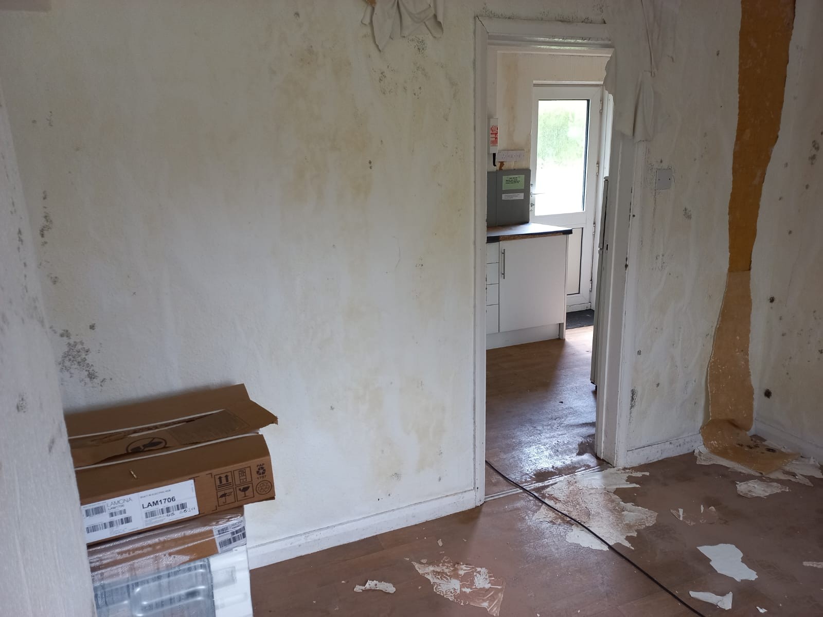 VACANT - Freehold Semi-Detached Building