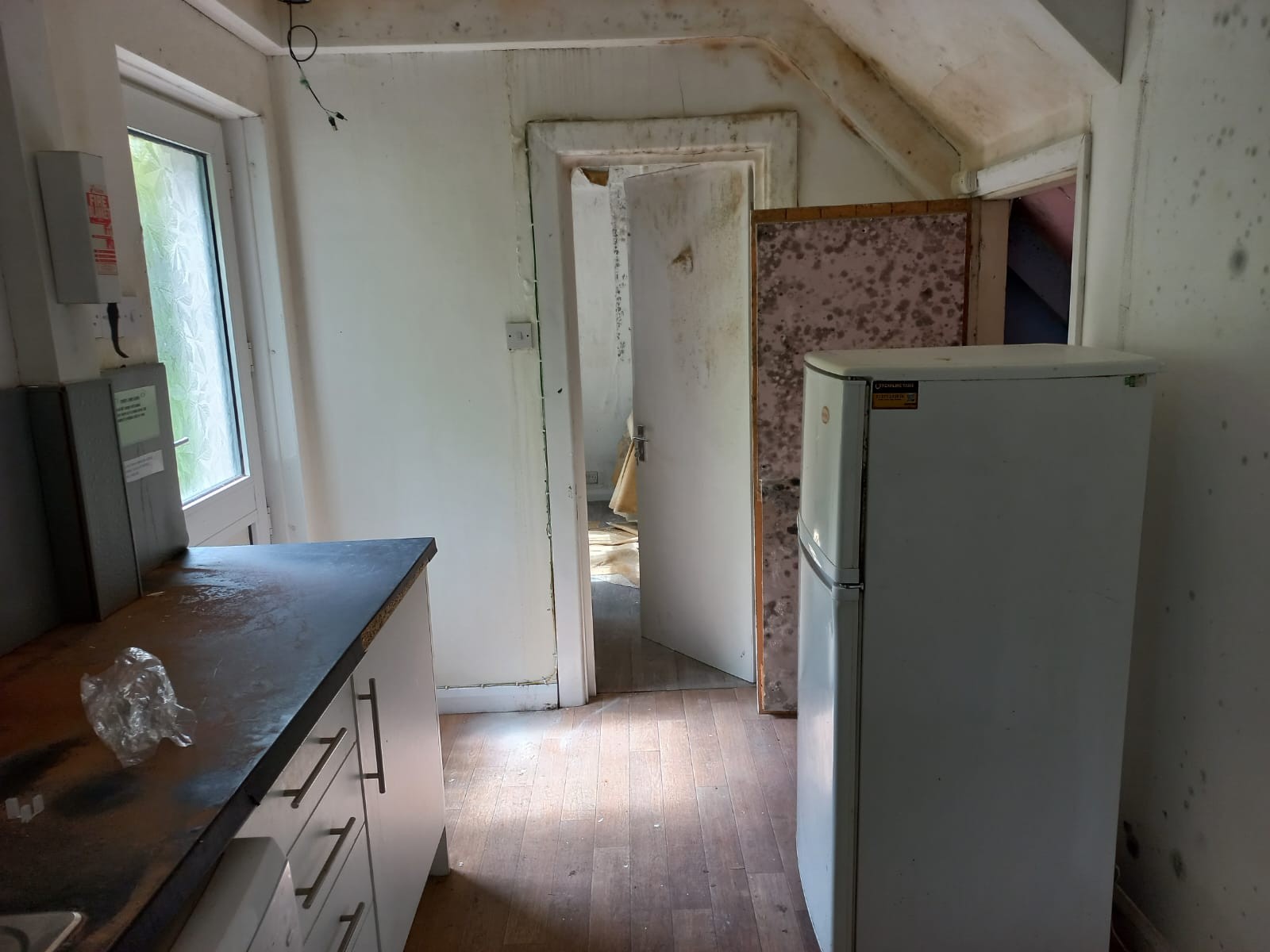 VACANT - Freehold Semi-Detached Building