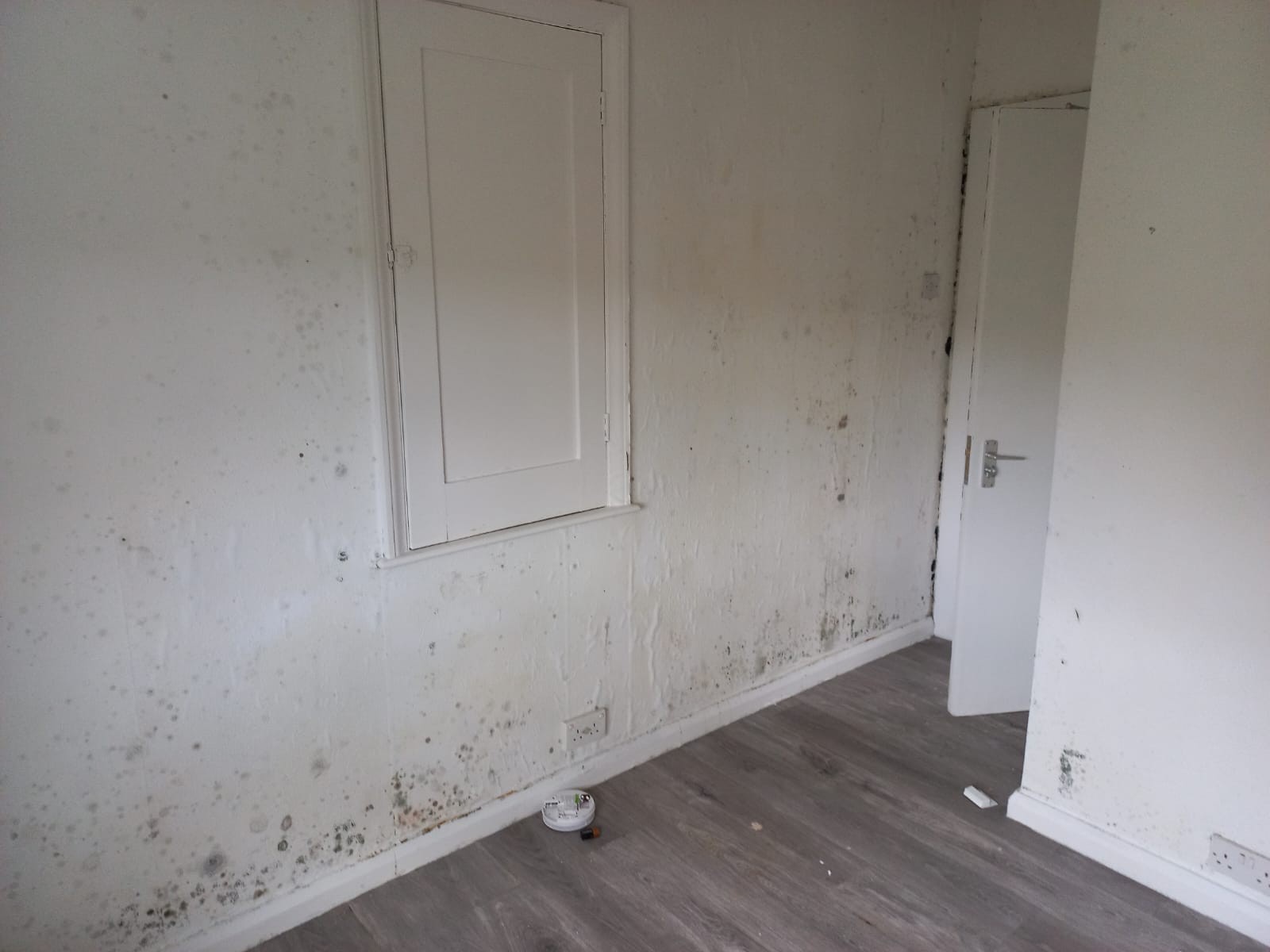 VACANT - Freehold Semi-Detached Building