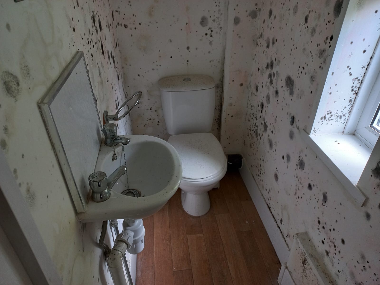 VACANT - Freehold Semi-Detached Building